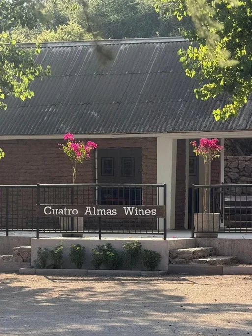Fachada de uma loja chamada "Cuatro Almas Wines" com uma varanda com duas plantas de flores rosa, ao lado de um muro de pedra e uma parede de tijolos.