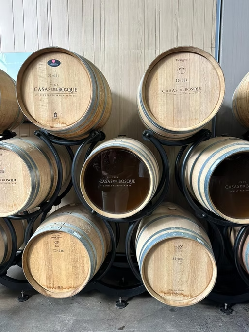 Barris de madeira empilhados em suportes, com alguns contendo vinho e outros vazios, na adega Casas del Bosque.