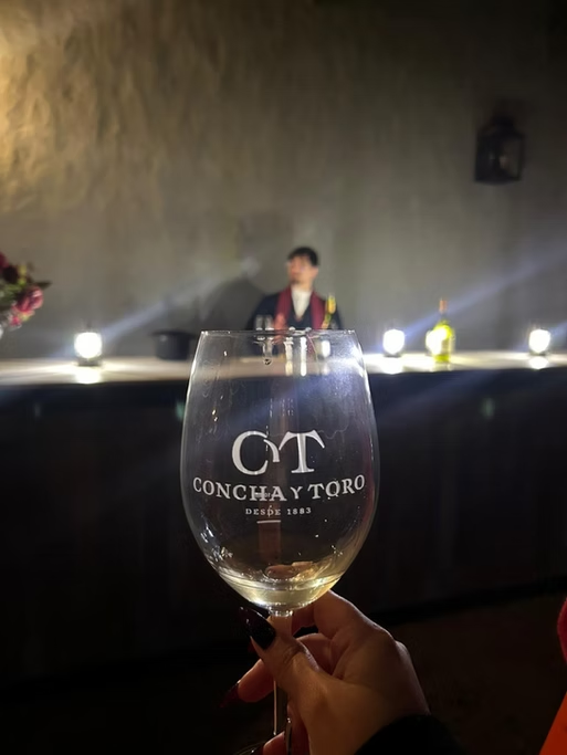 Copo de vinho com o logotipo do Concha y Toro, com uma pessoa segurando o copo na frente do palco ao fundo, onde está uma pessoa falando em um ambiente bem iluminado.