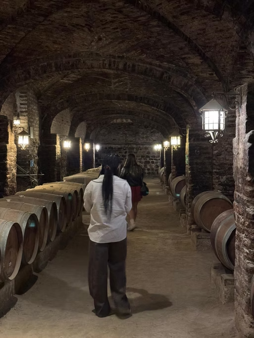 Pessoas caminhando em uma adega ou cervejaria, com barris de madeira alinhados ao lado, dentro de um ambiente com teto de arcos de pedra e iluminação tênue.