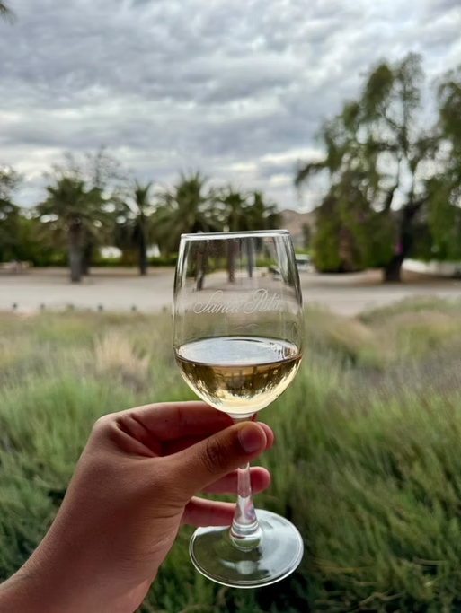 Mão segurando uma taça de vinho branco com um cenário de árvores e céu nublado ao fundo.