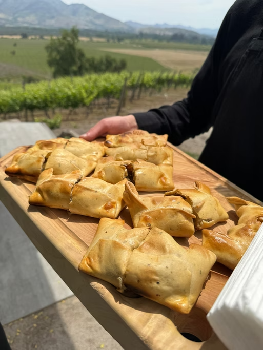 Pessoa segurando uma tábua com pastéis em um ambiente ao ar livre, com vinhedos e montanhas ao fundo.