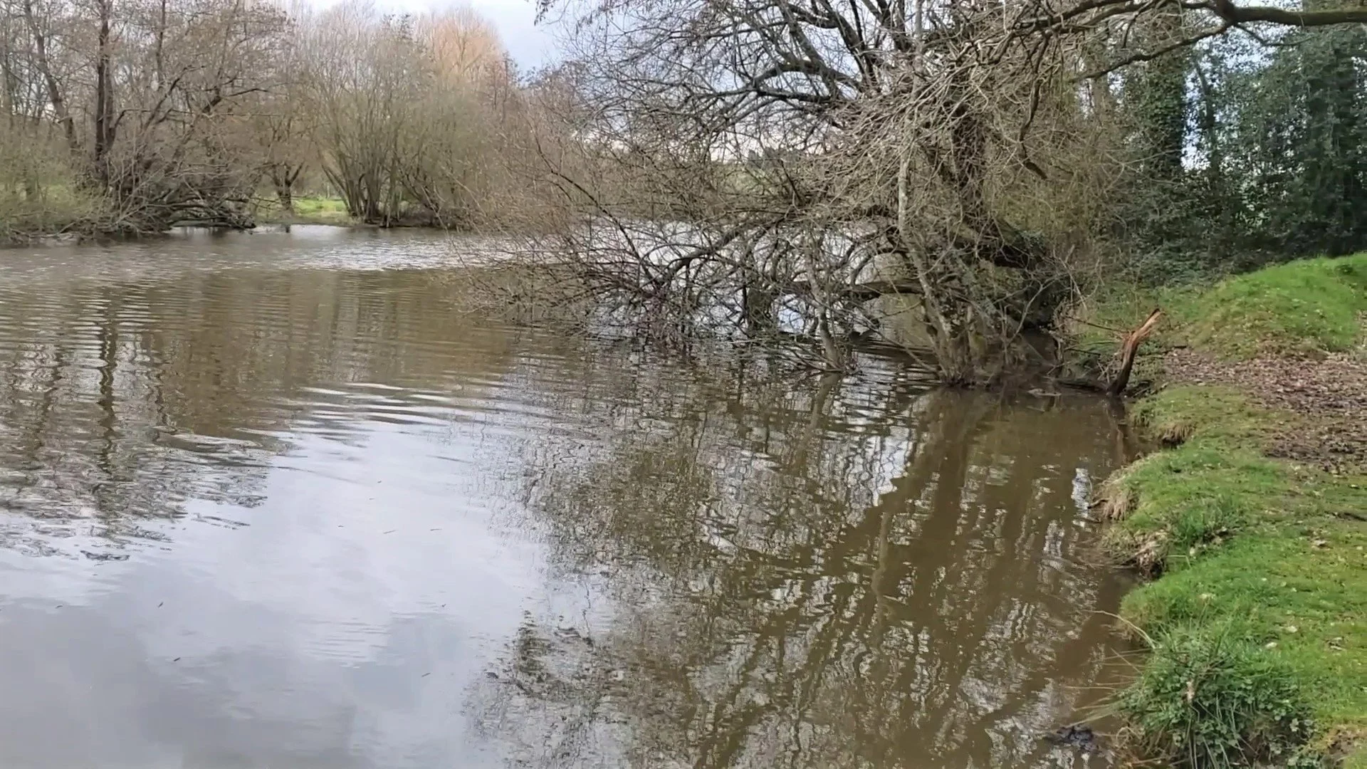A peaceful and secluded stretch of the Ninian River near Ploërmel, France, accessed via a little-known dead-end road just off the D122, offering a wonderfully private and scenic spot beside the river with hiking trails leading into the hills.