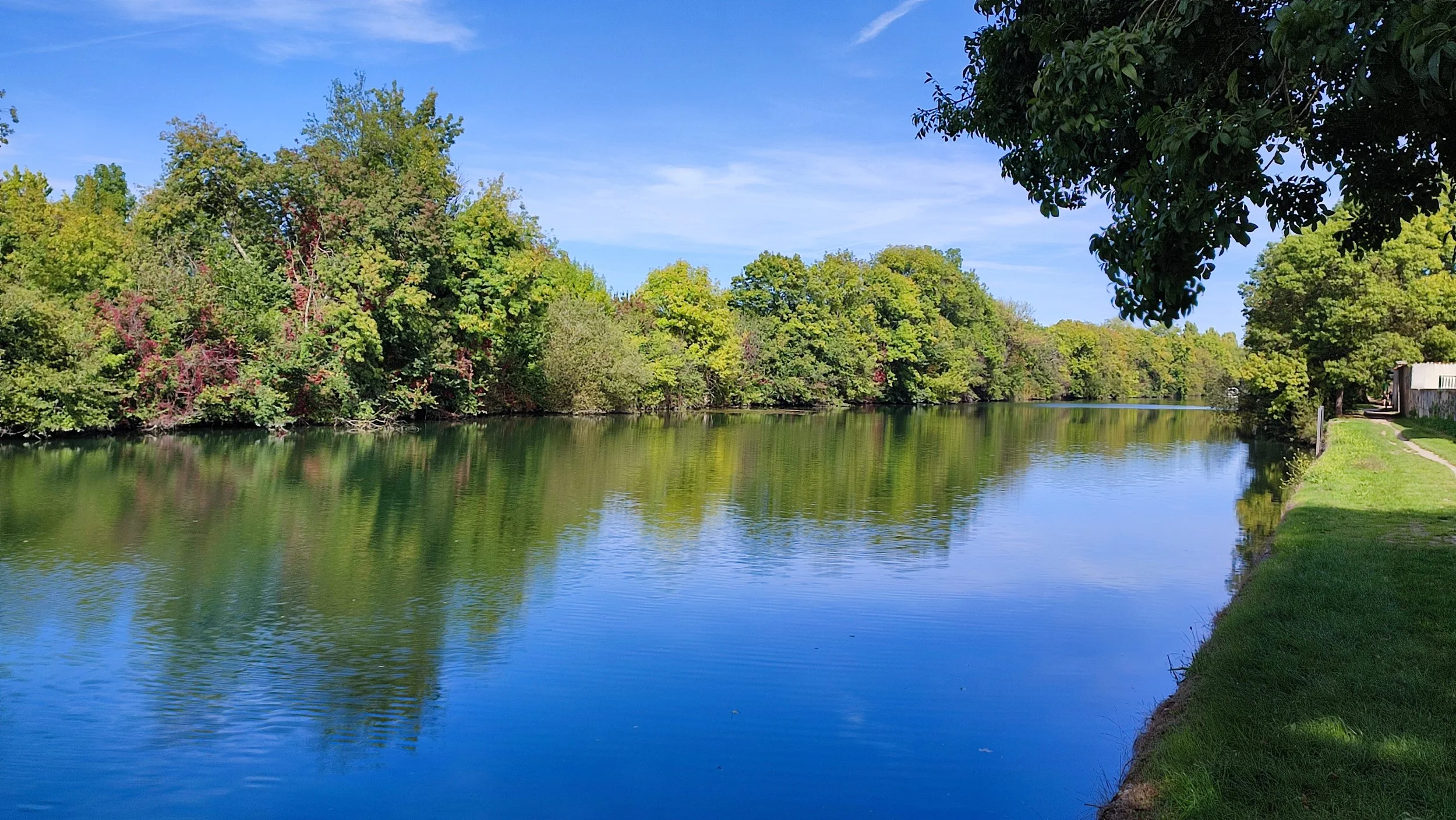 The calm, mirror-like waters of the Charente River just outside Cognac, France, reflecting the surrounding trees on a beautiful autumn day, with a walking path visible along the grassy bank.