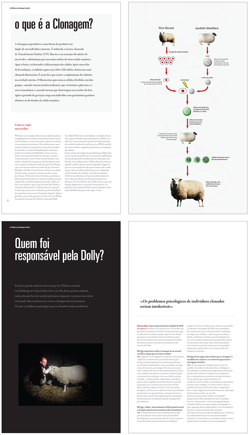 Magazine_dolly2.png