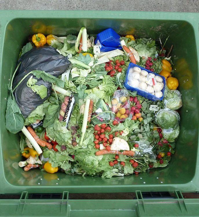 Wasted food in the trash