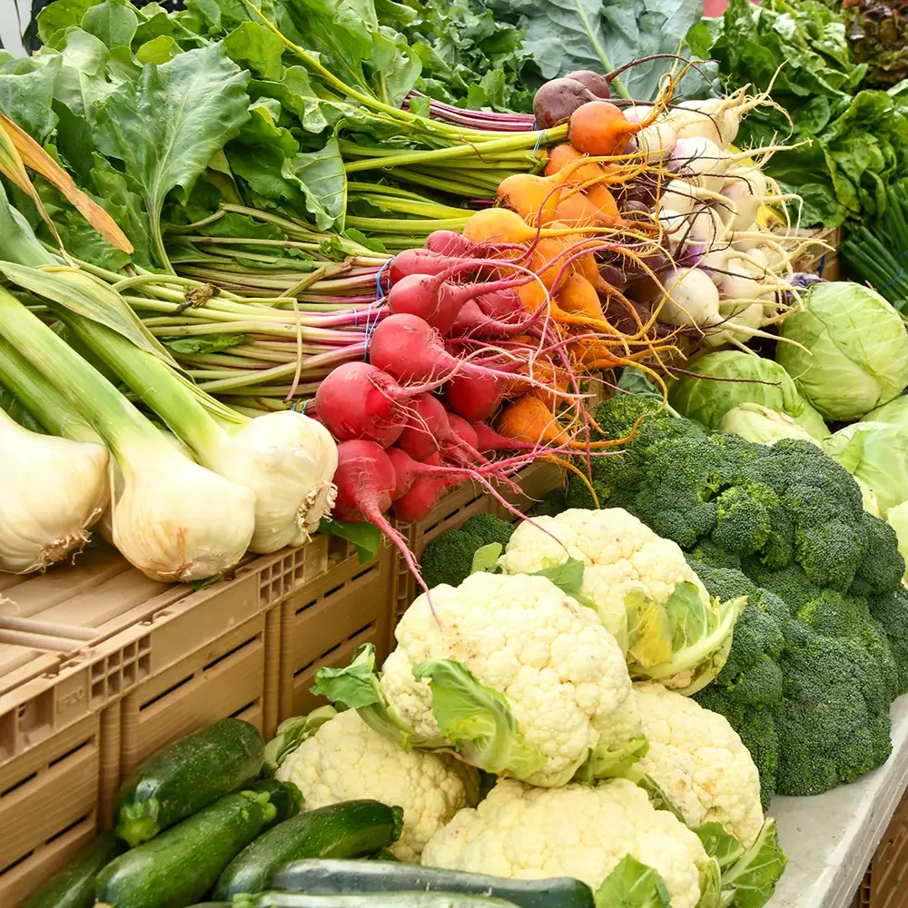 Fresh vegetables at a farmers market, including cauliflower, broccoli, zucchini, onions, radishes, carrots, turnips, and cabbage.