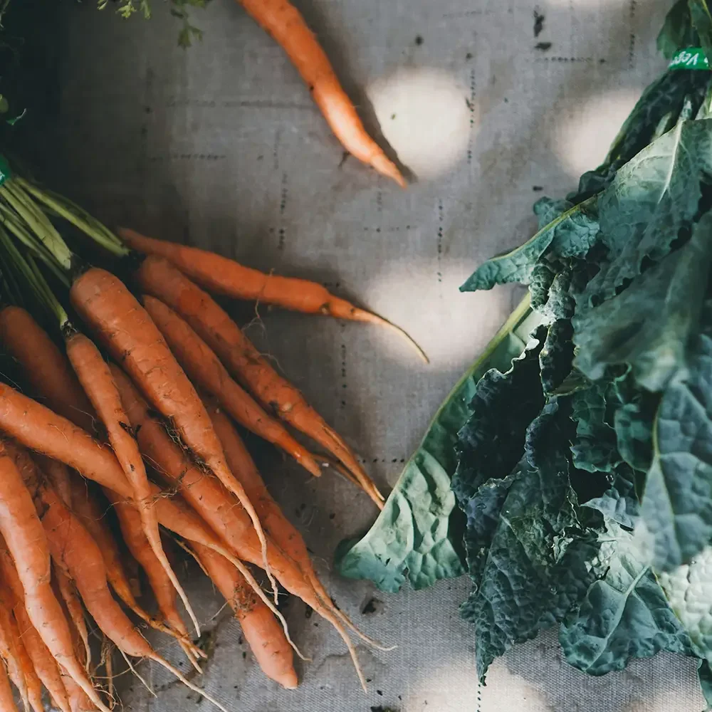 Bunch of fresh carrots with green tops on a surface.