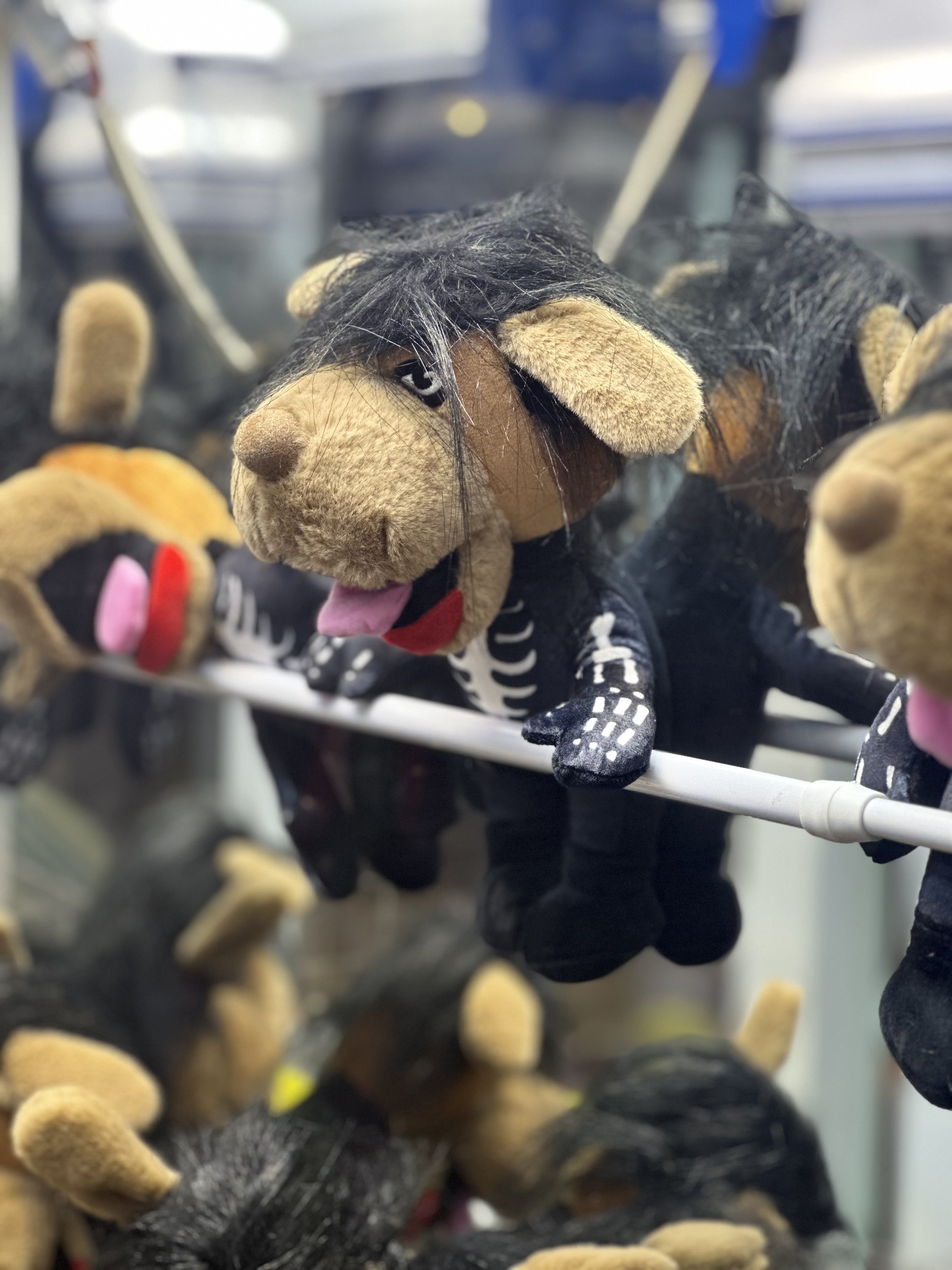 Biscuits Dogzig Plushy