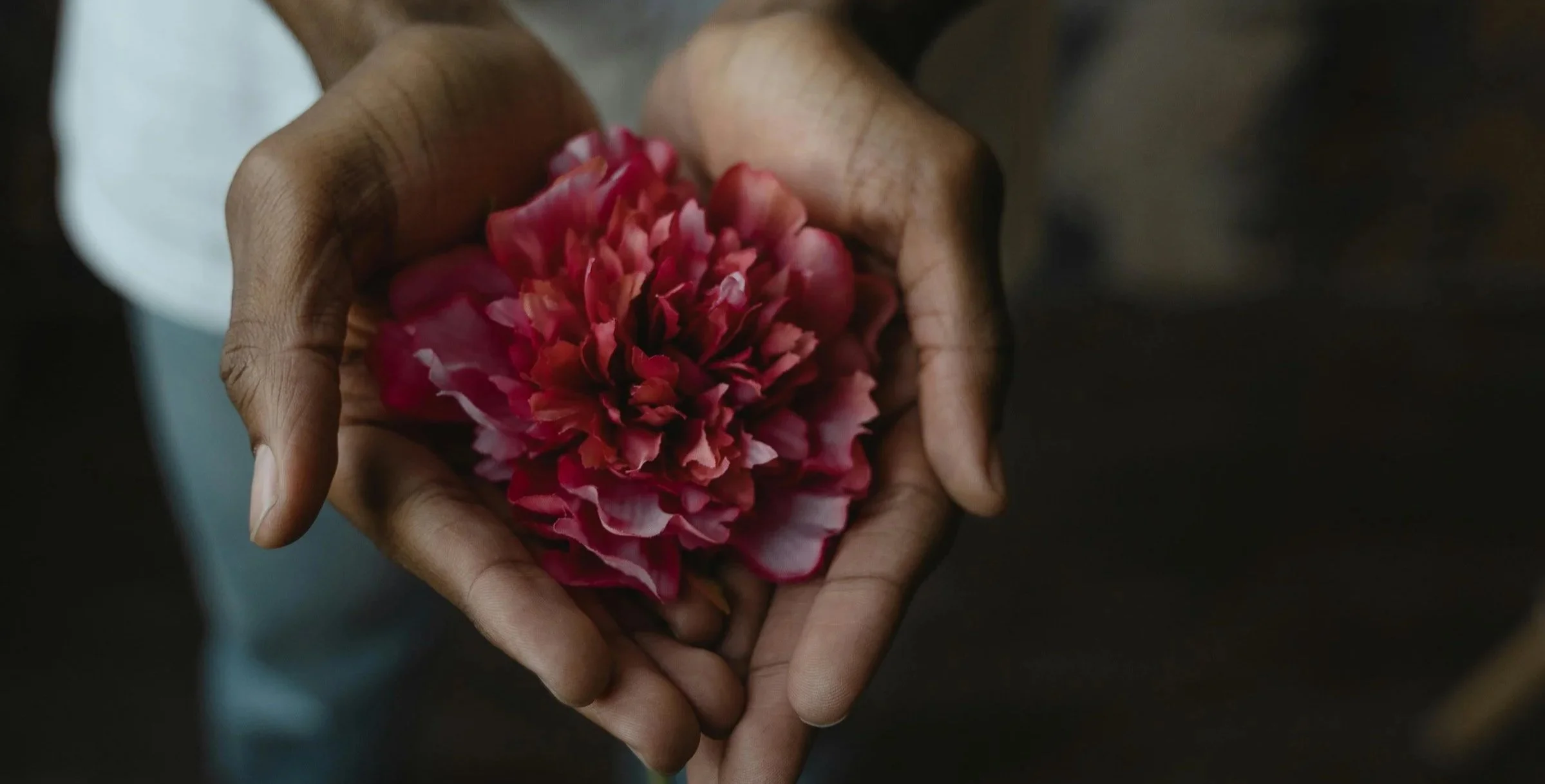 Close-up of two hands holding a pink peony flower.