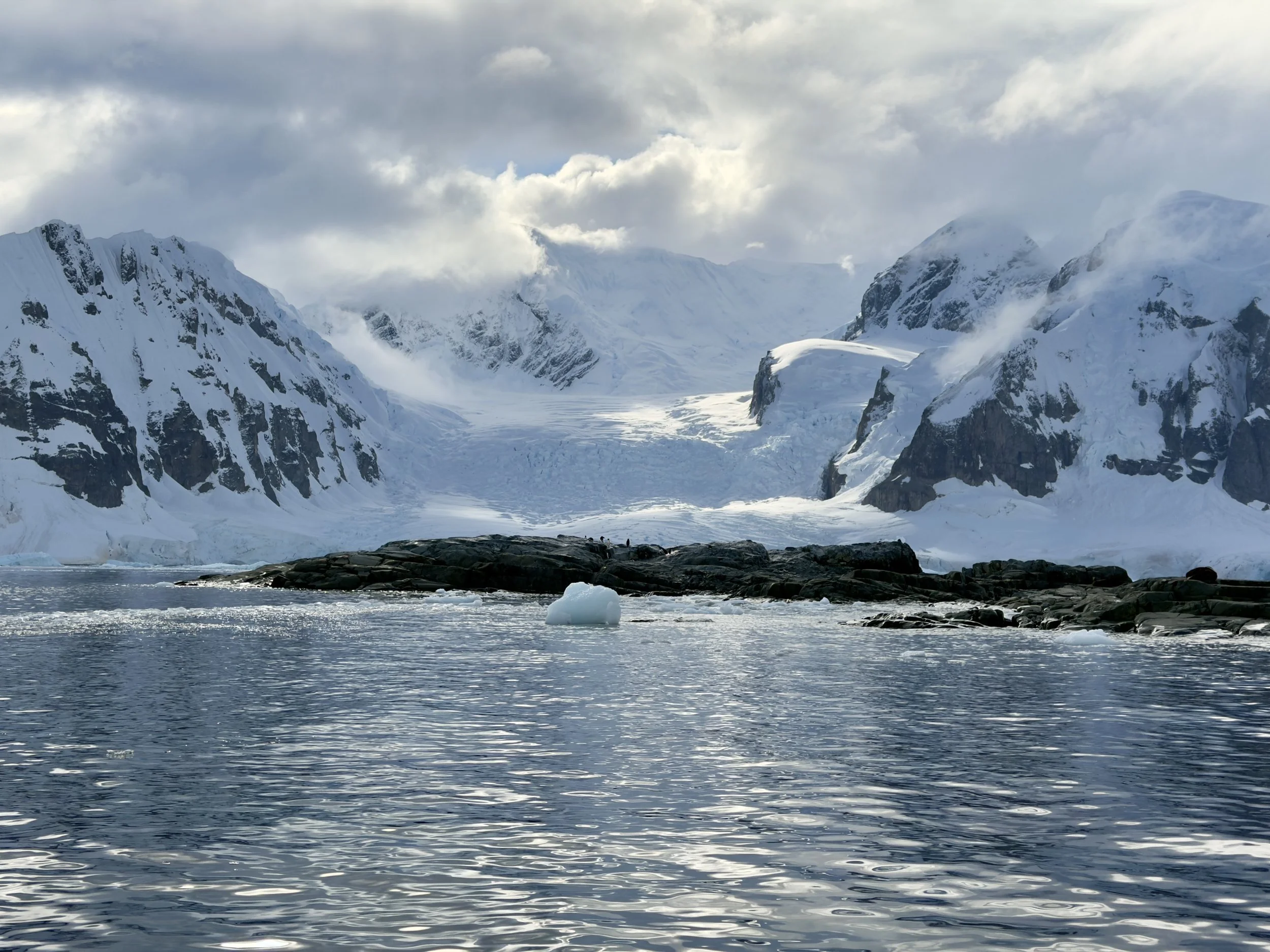 7A7434AB-9D1B-45AE-BDC0-D31CC36FE248_1_201_a.jpeg