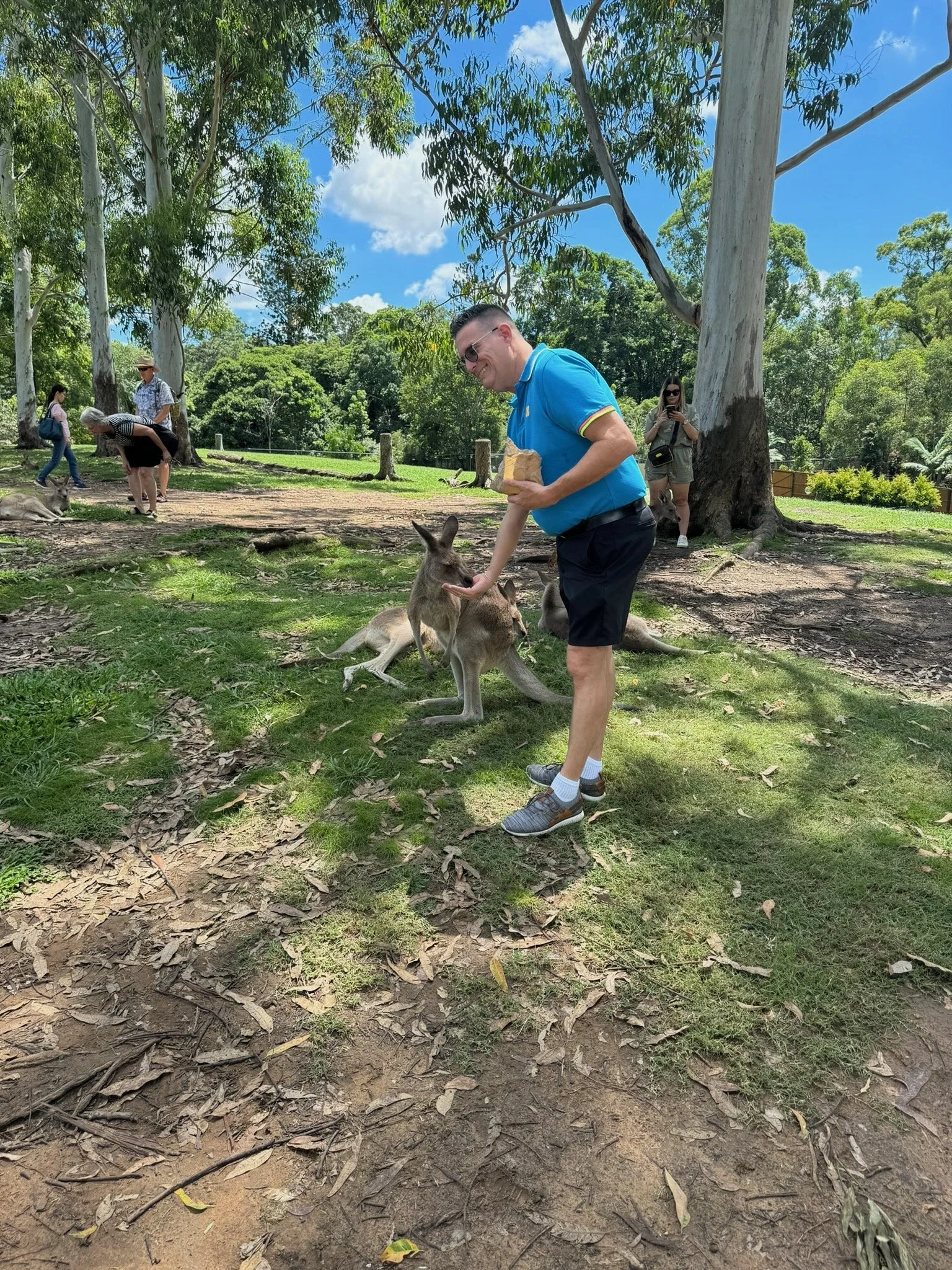 Meeting Australia's Kangaroos