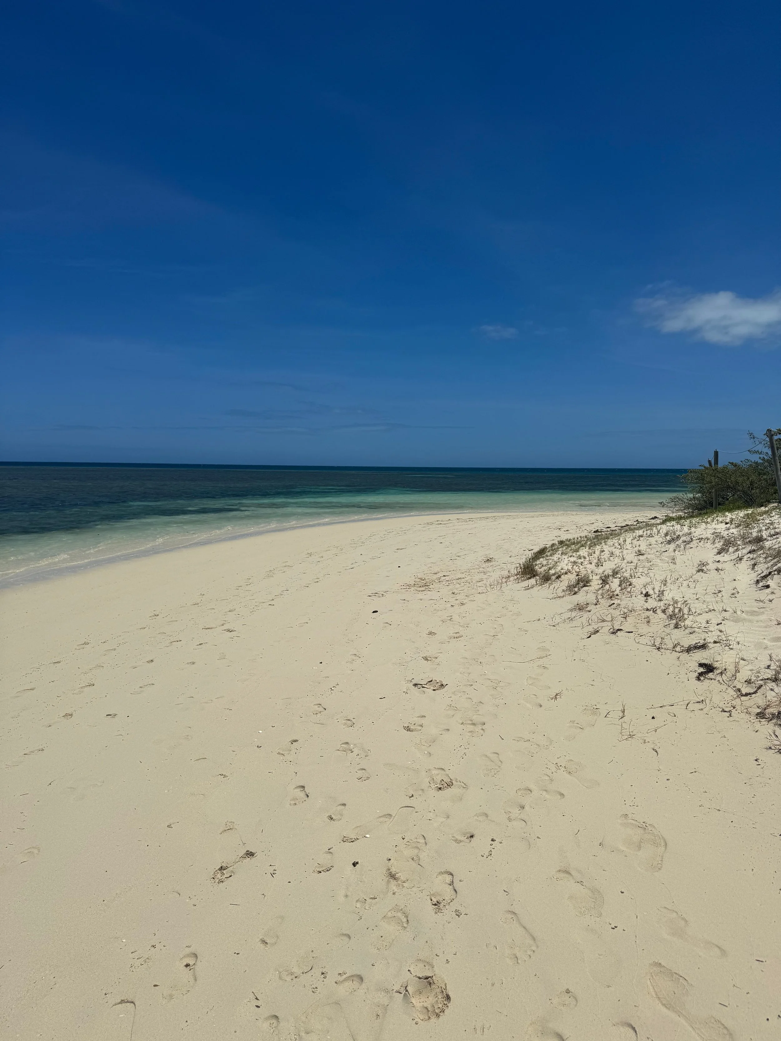 Signal Island, New Caledonia