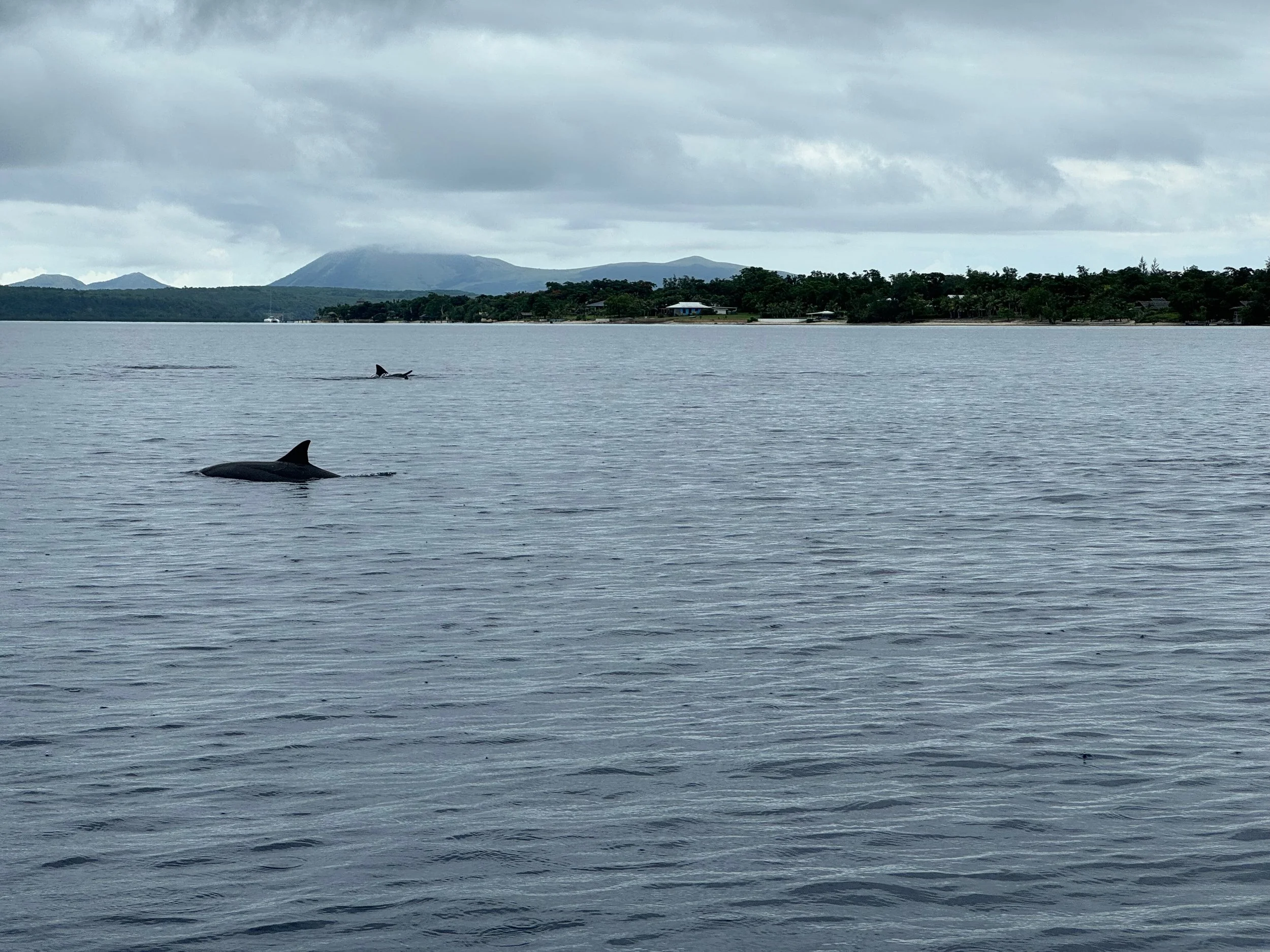 Exploring the Waters of Port Vila