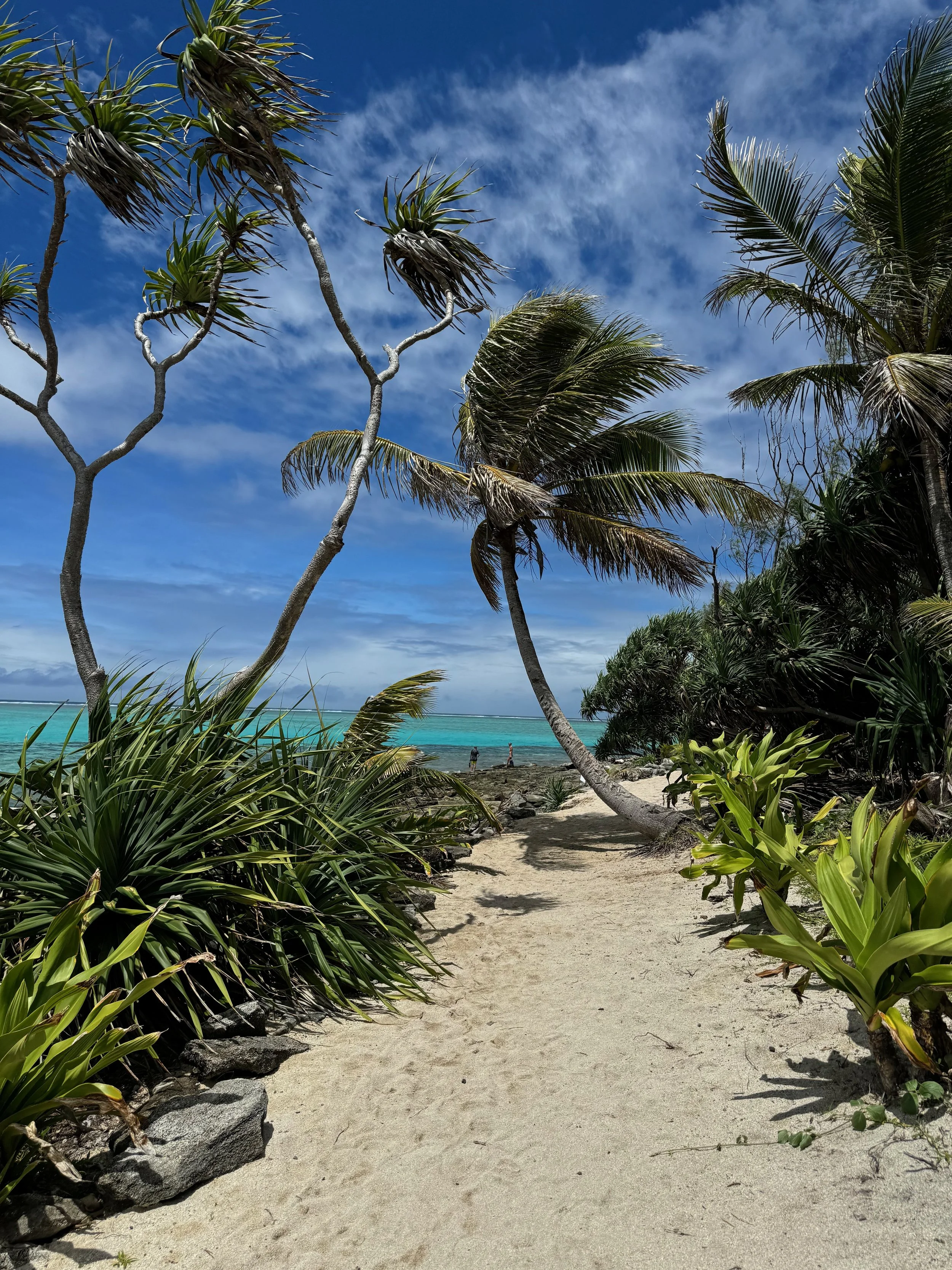 A Long Way from Home: Australia &amp; the South Pacific