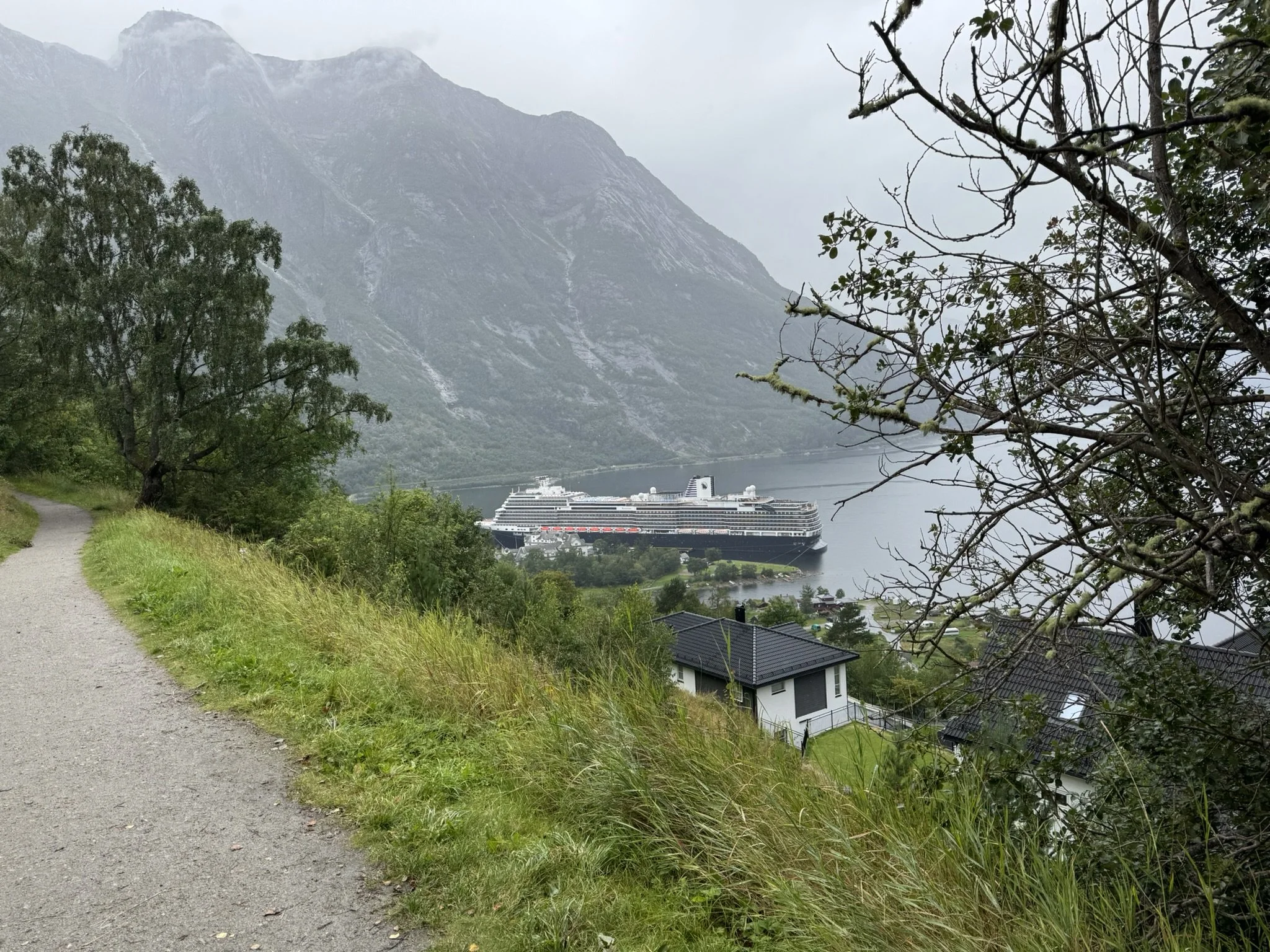 Holland America cruise ship viewed from a hillside trail overlooking a fjord and mountain village