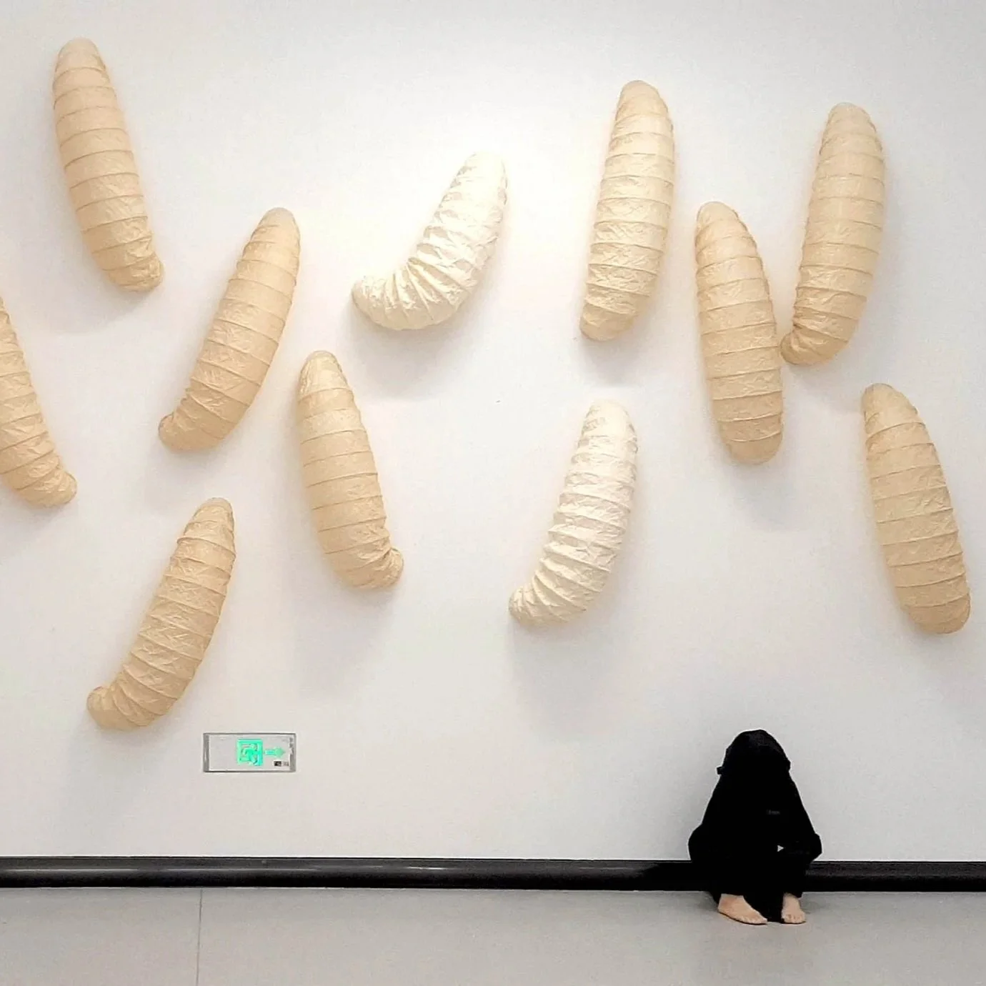 Cocoons and the engel, 2023 Xuan paper, bamboo, synthetic resin, variable