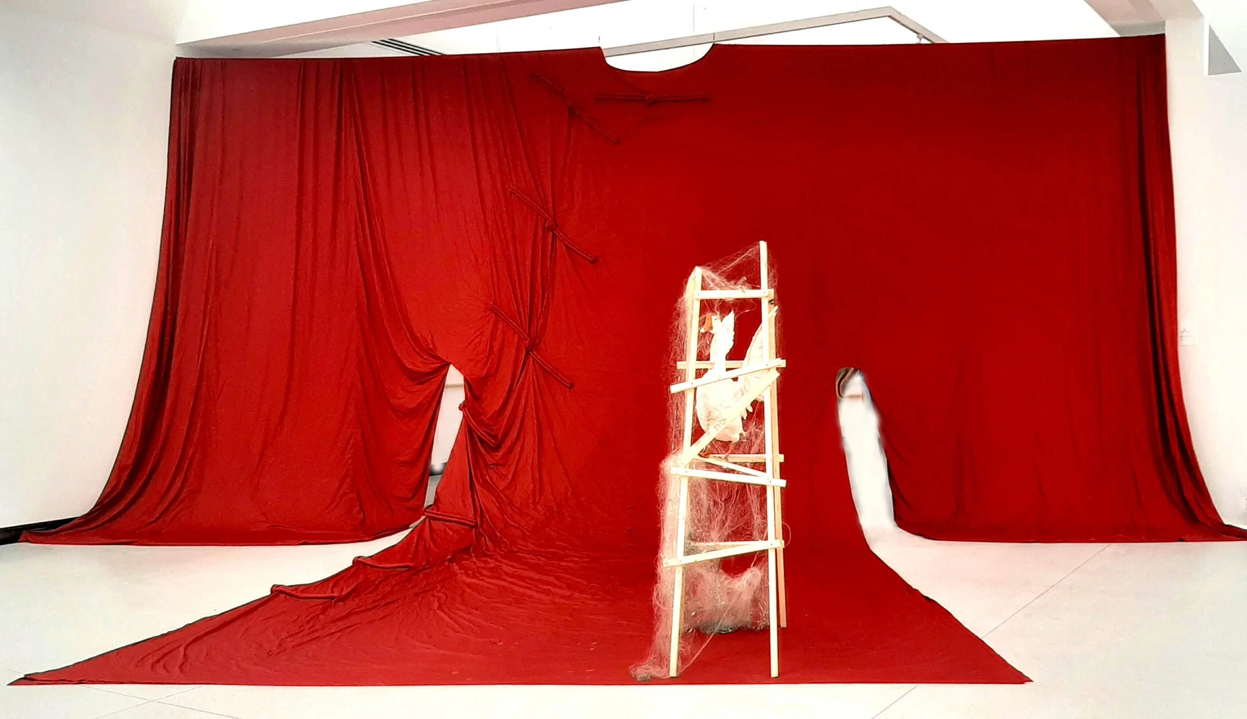 The huge red robe and ithe white goose, 2023 red cloth and other materials  11000cmx8200cmx200cm