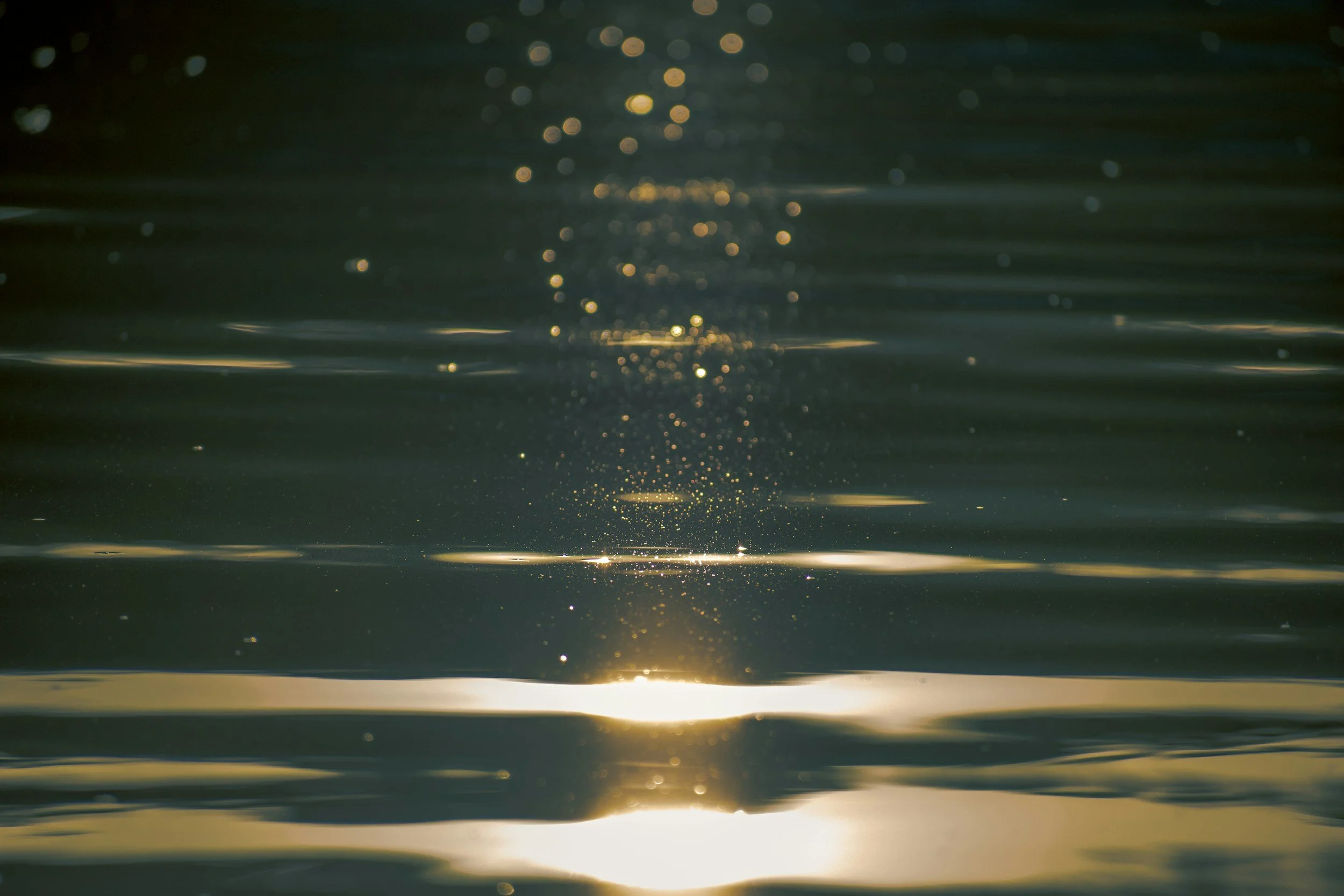 Sunlight reflecting on water with shimmering golden spots and gentle ripples.