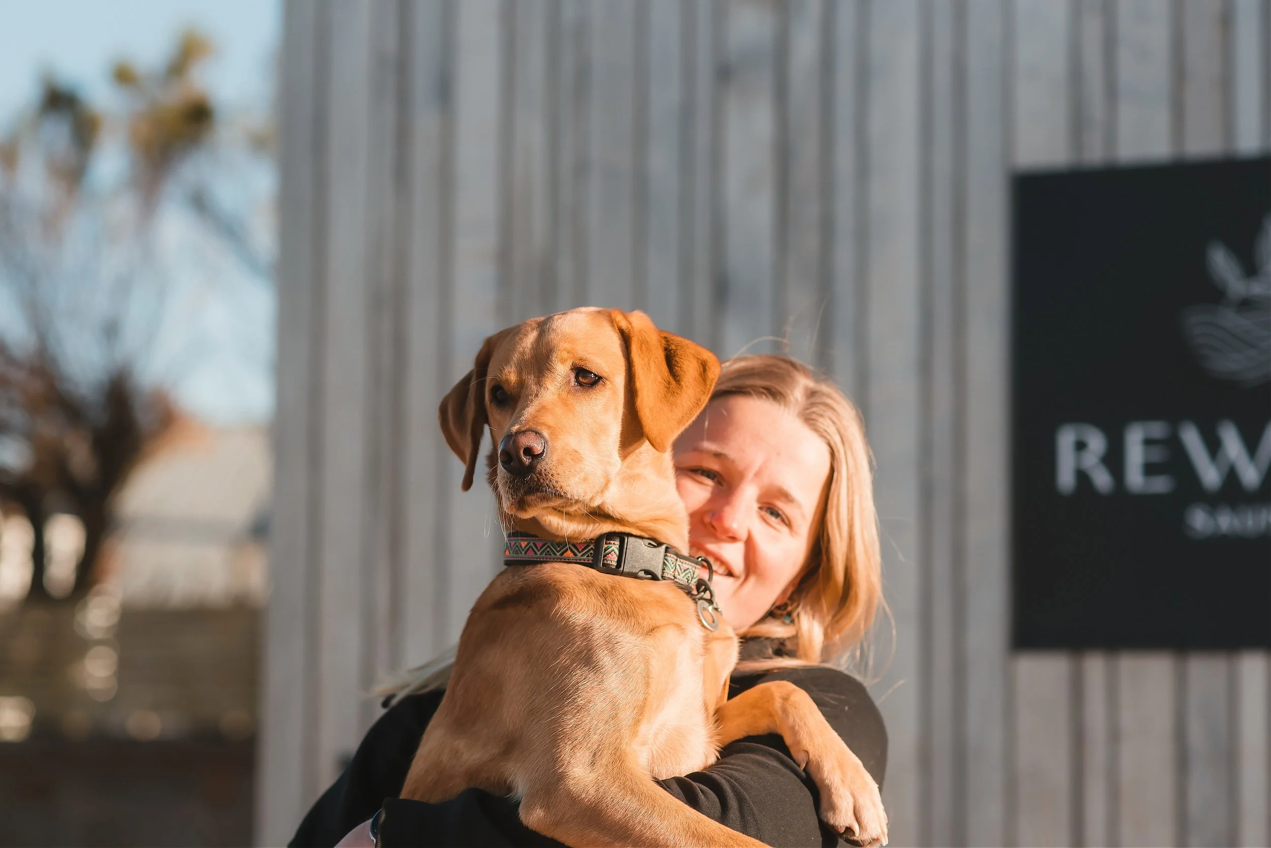A woman hugging a large brown dog with floppy ears and a colorful collar outdoors near a gray metallic wall.