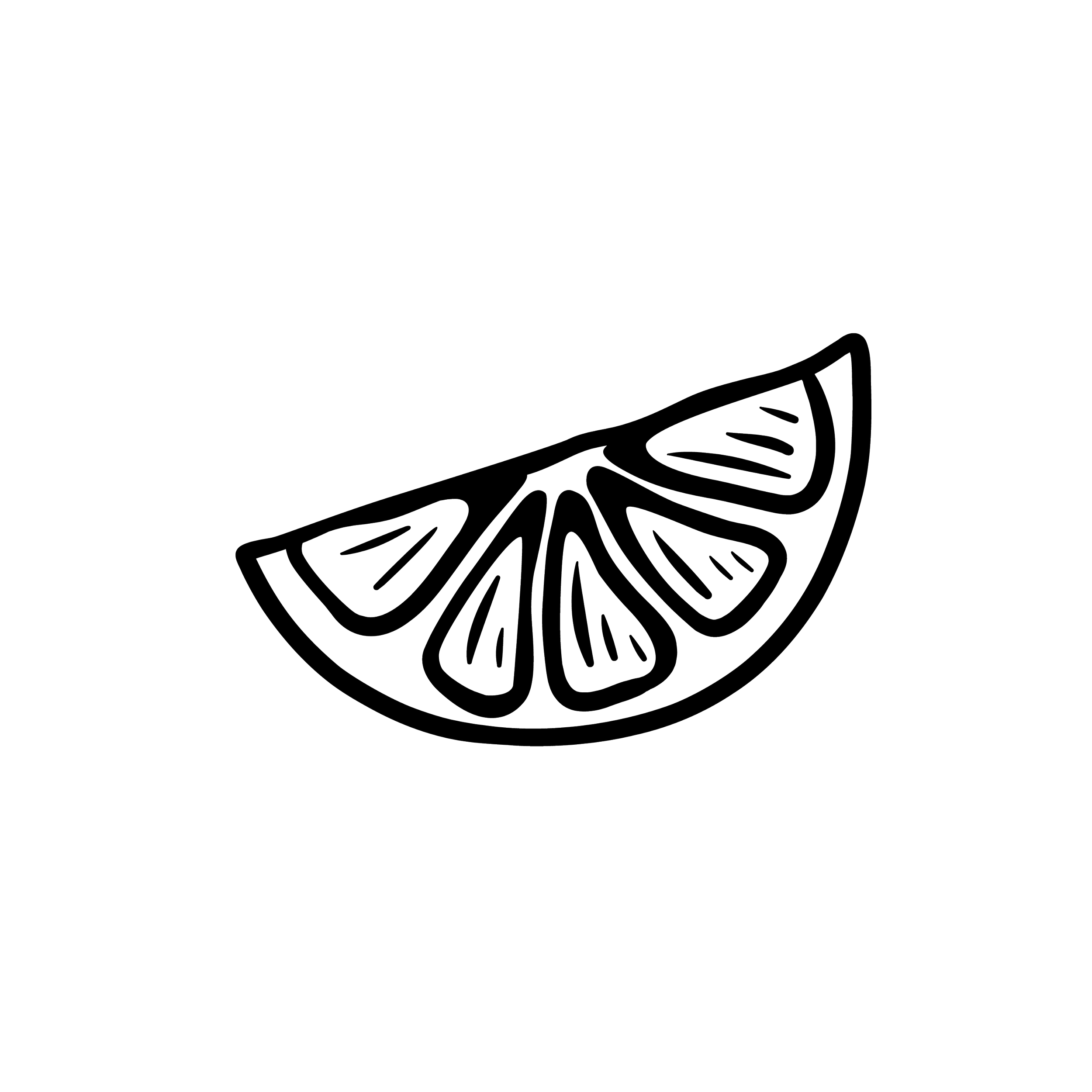 Outline of a butterfly wing with intricate patterns on black background.