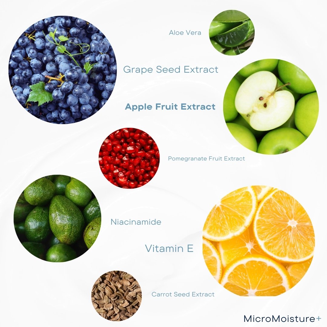 Mico-Moisture-Niacinamide-Vitamin-B3-Antioxidant-Firming-Hydrating-Moisturizer-Vegan-Acne-Safe-Wish-Skin-Health-key-ingredients.jpg