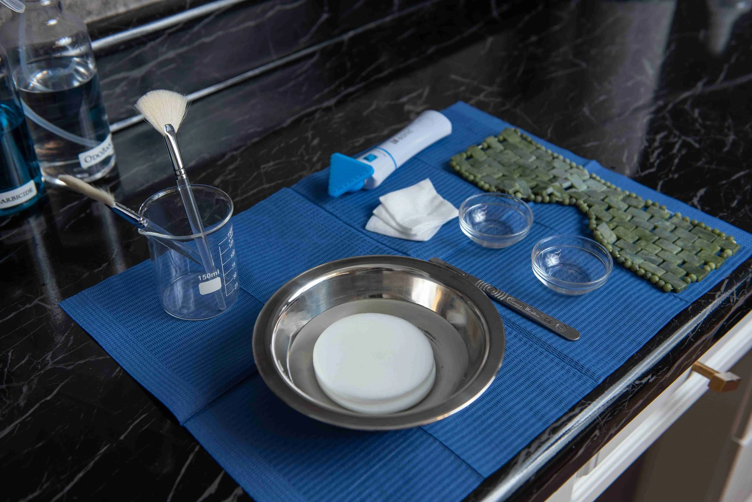Laboratory workspace with green moss samples arranged on a blue mat, laboratory tools including a beaker with a brush, a small ruler, and petri dishes, on a black marble surface.
