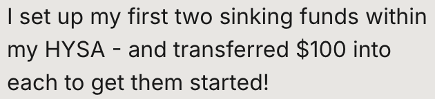 Text on a screen: 'I set up my first two sinking funds within my HYSA - and transferred $100 into each to get them started!'