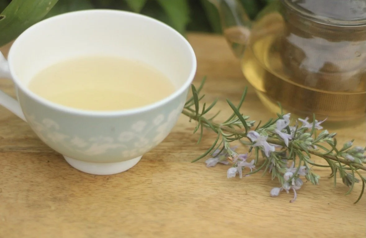 The Quiet Language of Herbs 