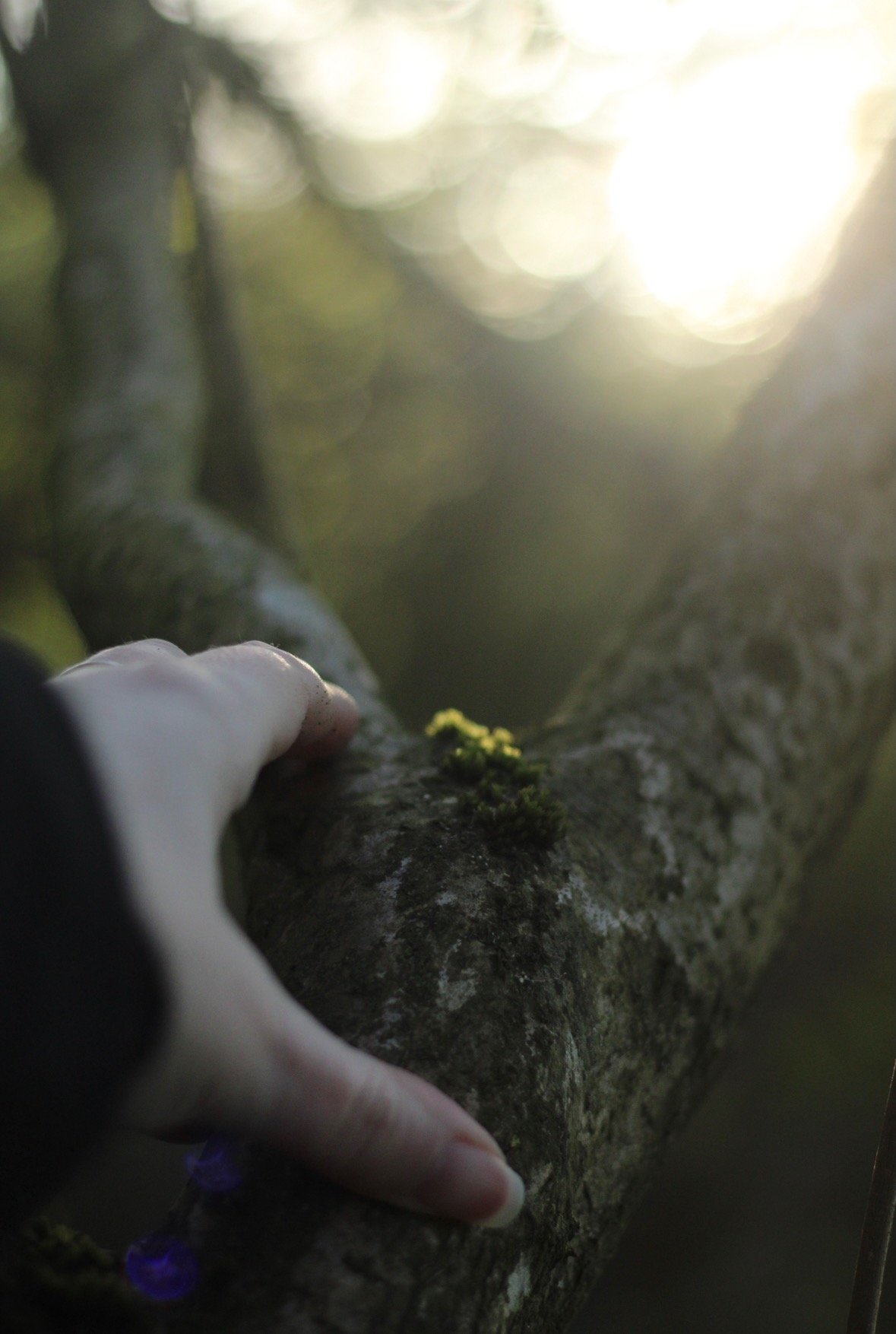 Sunrise, Rhythm and Remembering Ourselves