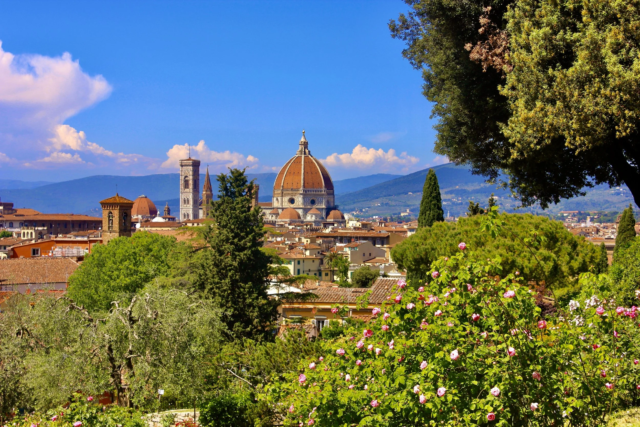 View of Florence, Italy with the Florence Cathedral's dome, surrounding buildings, lush green trees, and flowering bushes in the foreground, mountains in the distance, under a partly cloudy blue sky.