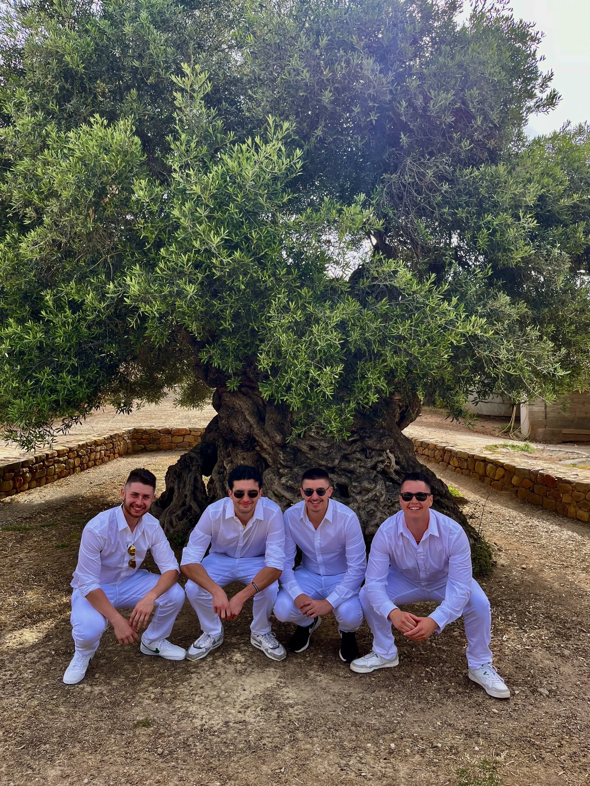 Four men dressed in white shirts and pants, squatting in front of a large green tree with a reddish-brown trunk and numerous branches, outdoors on a dirt ground with stone borders and a building in the background.