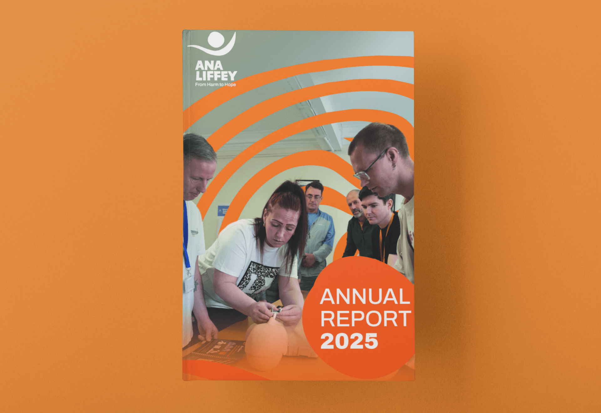 Ana Liffey Publishes 2025 Annual Report