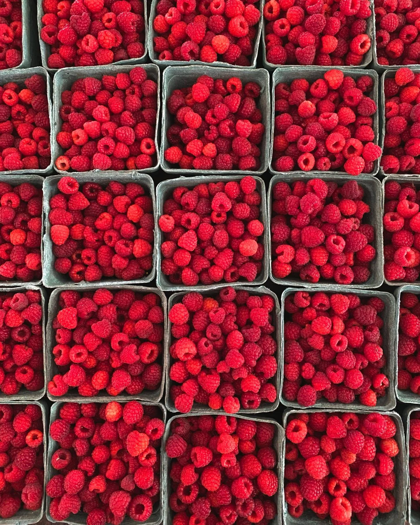 Raspberries