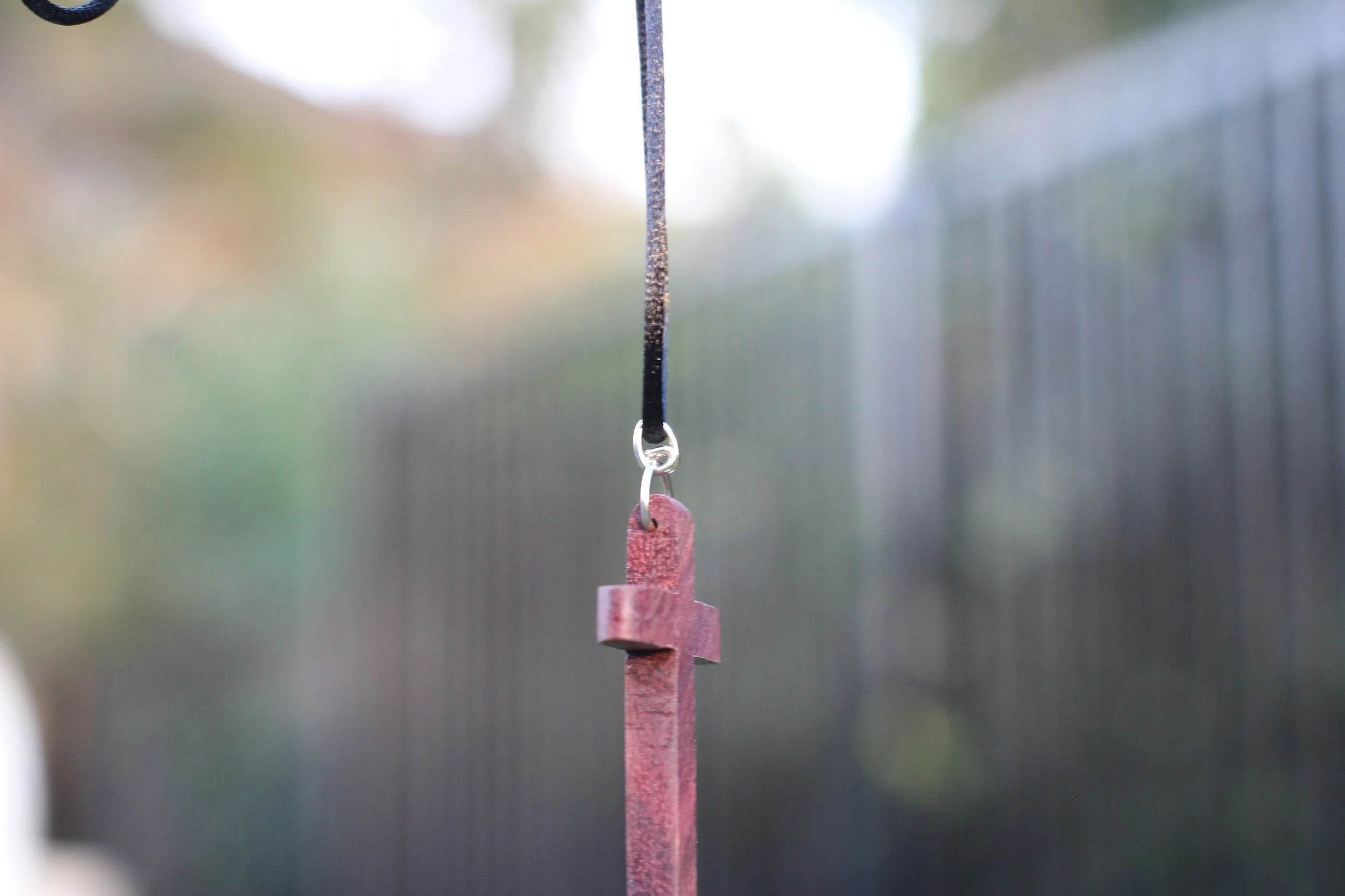 purple heart single tone hanging side-on.JPG