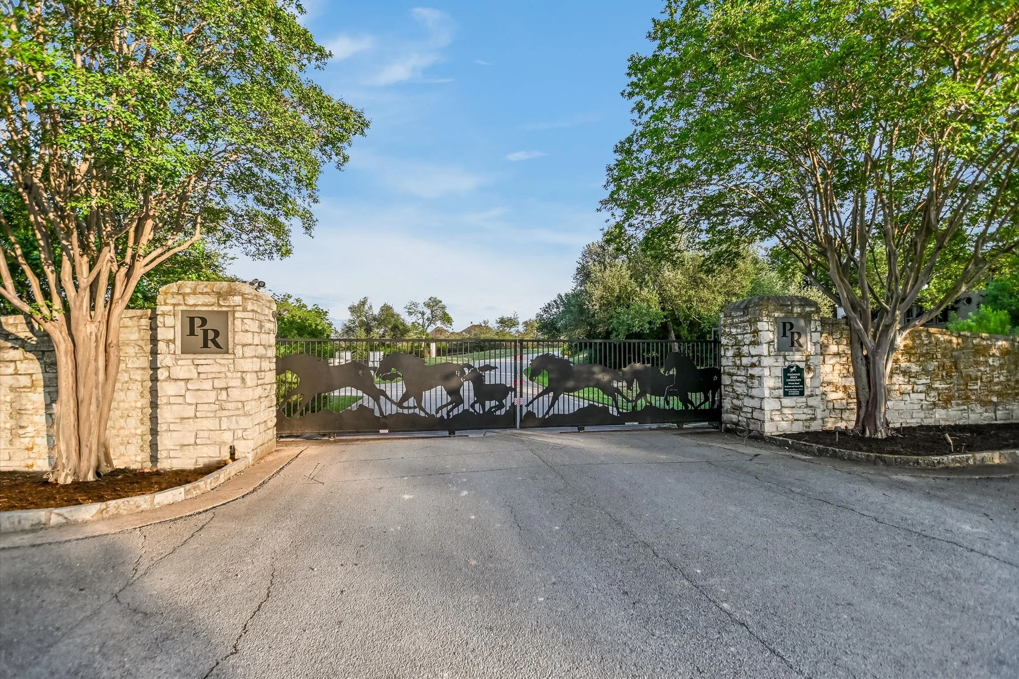 48-Palomino Ridge.jpg