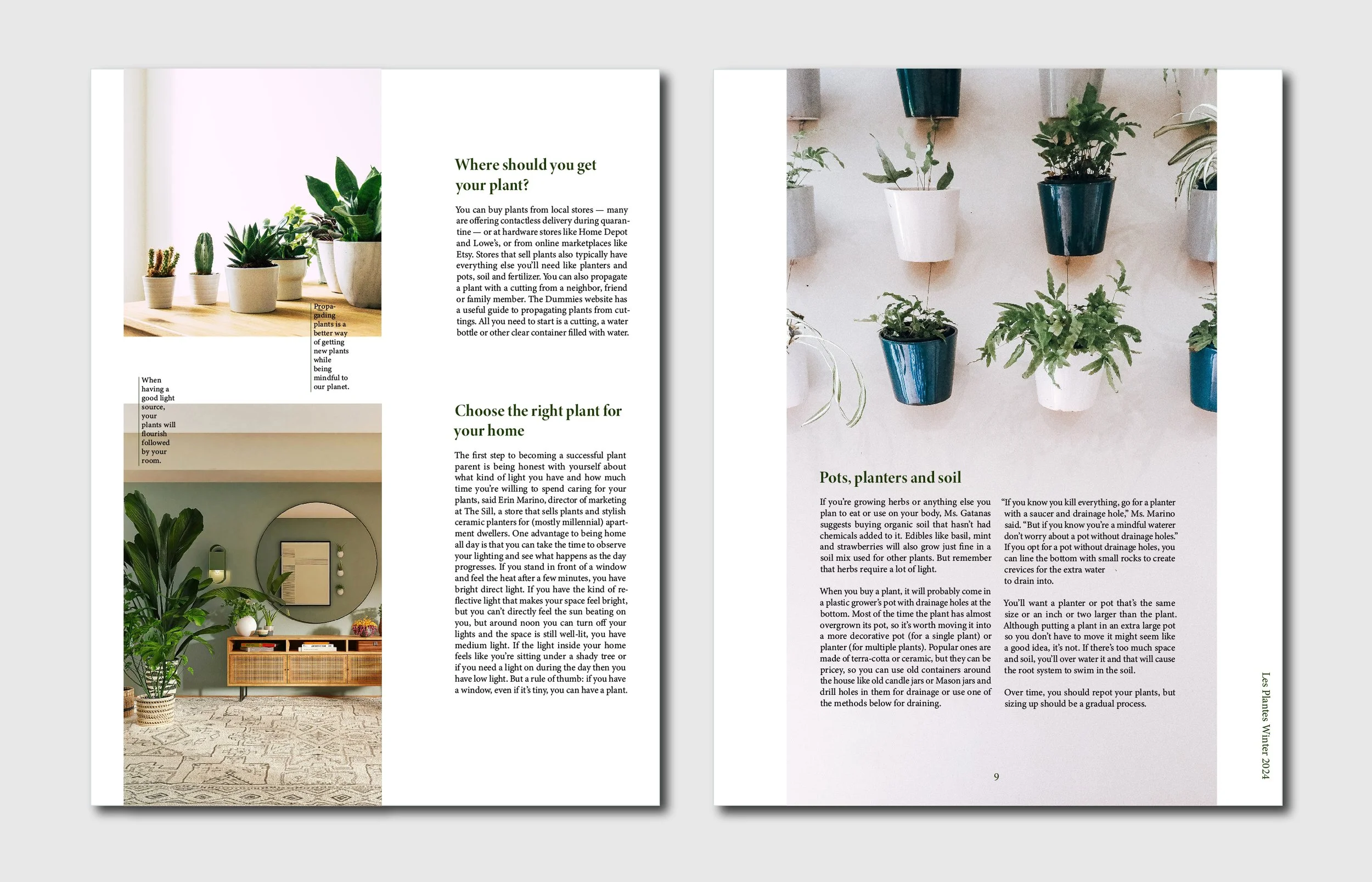 Plantes Behance-04.jpg