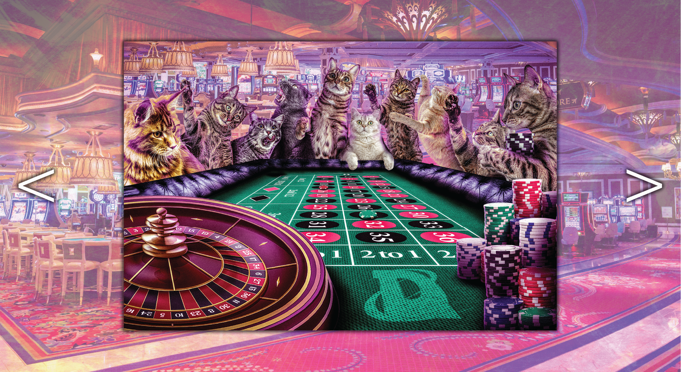 LamasJesus_CATZ_3.png