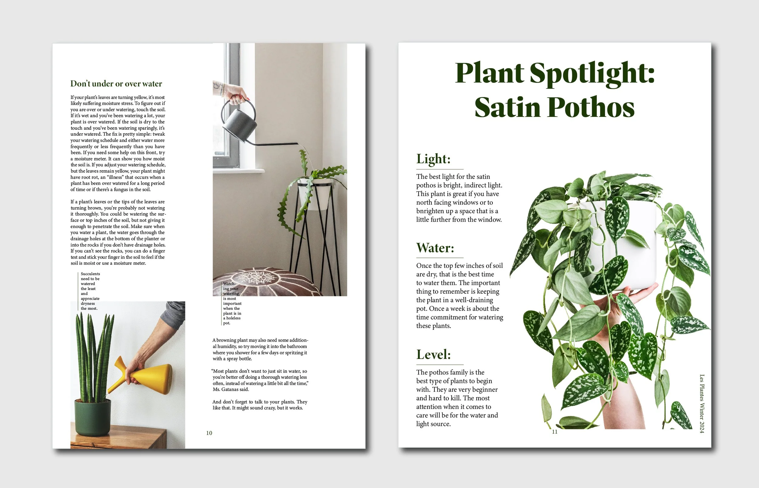 Plantes Behance-05.jpg