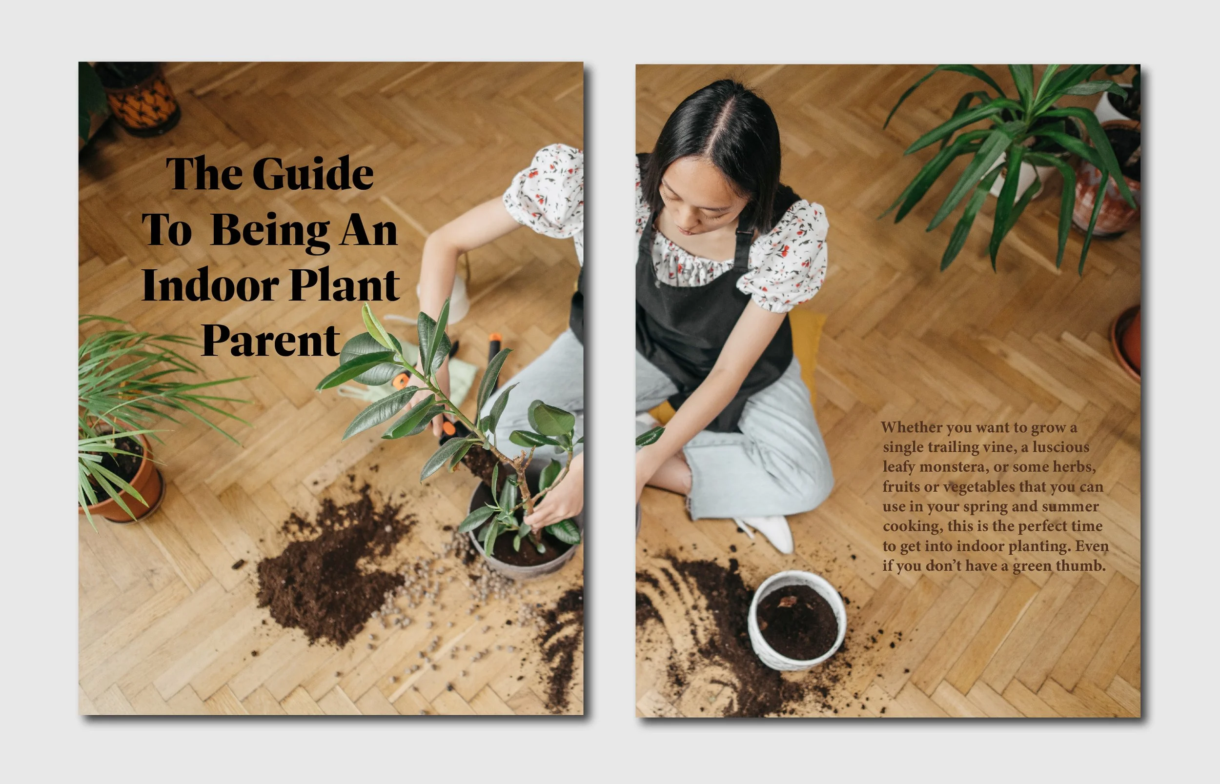 Plantes Behance-03.jpg