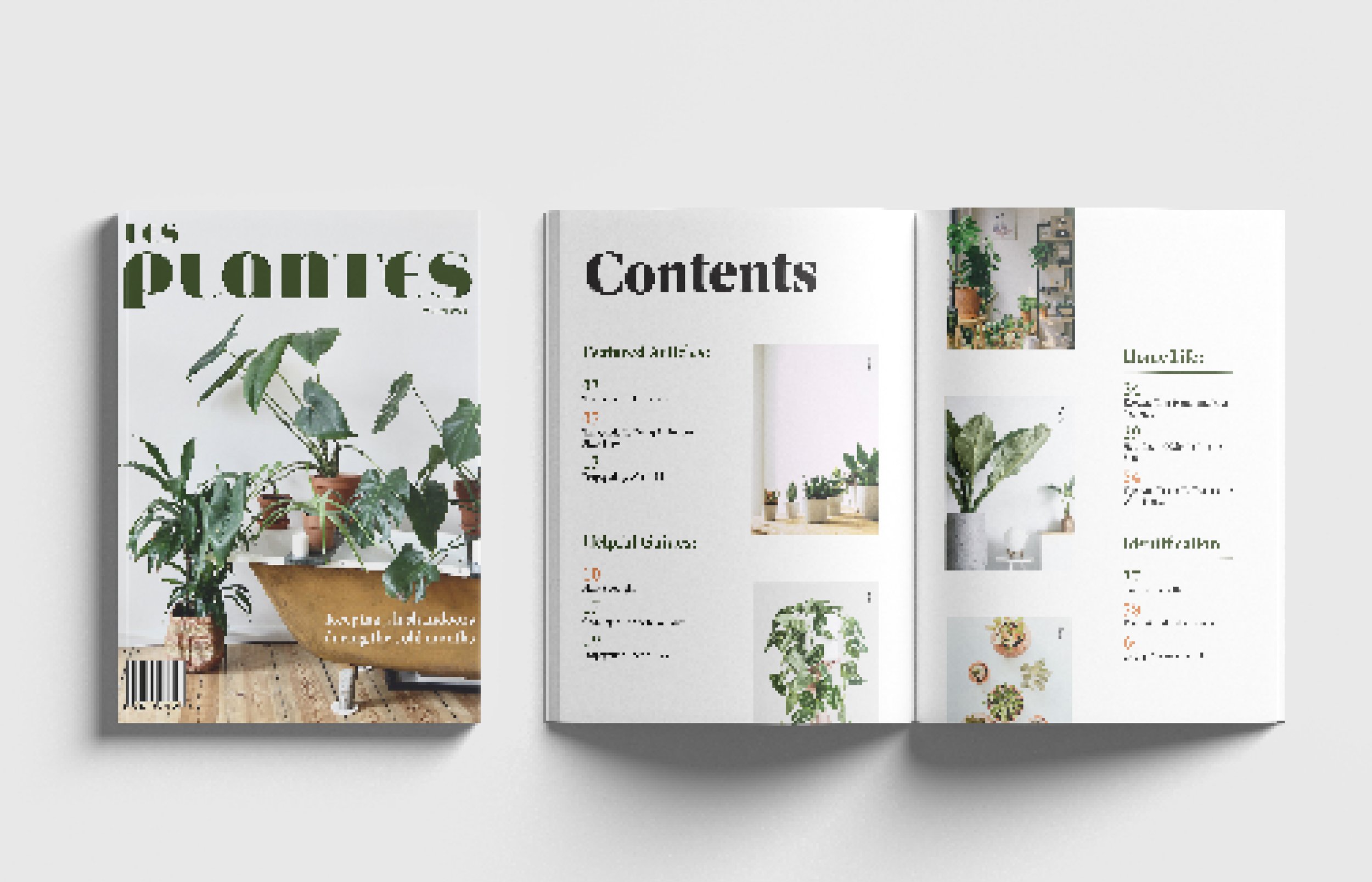 Plantes Behance for website-08.jpg