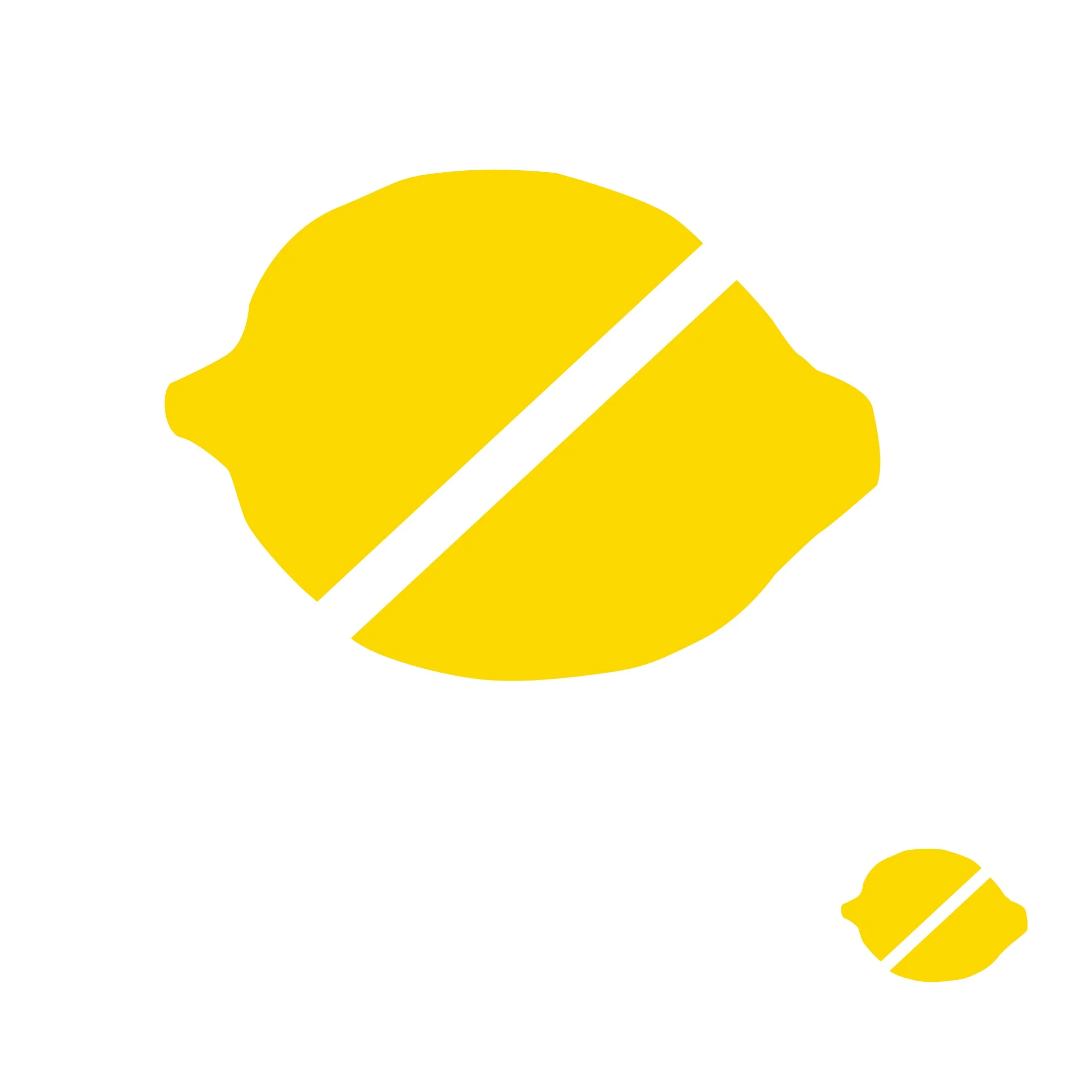 FF-Lemon.jpg