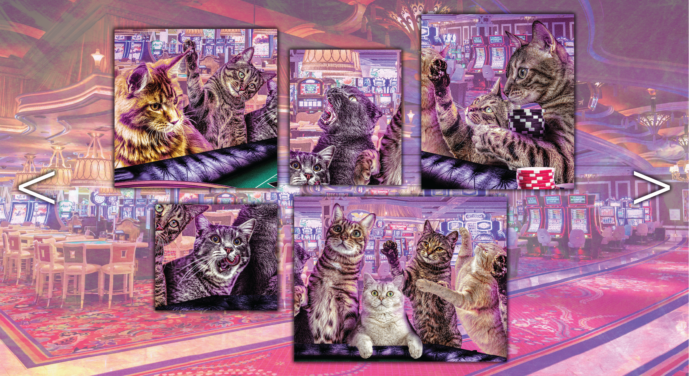 LamasJesus_CATZ_4.png