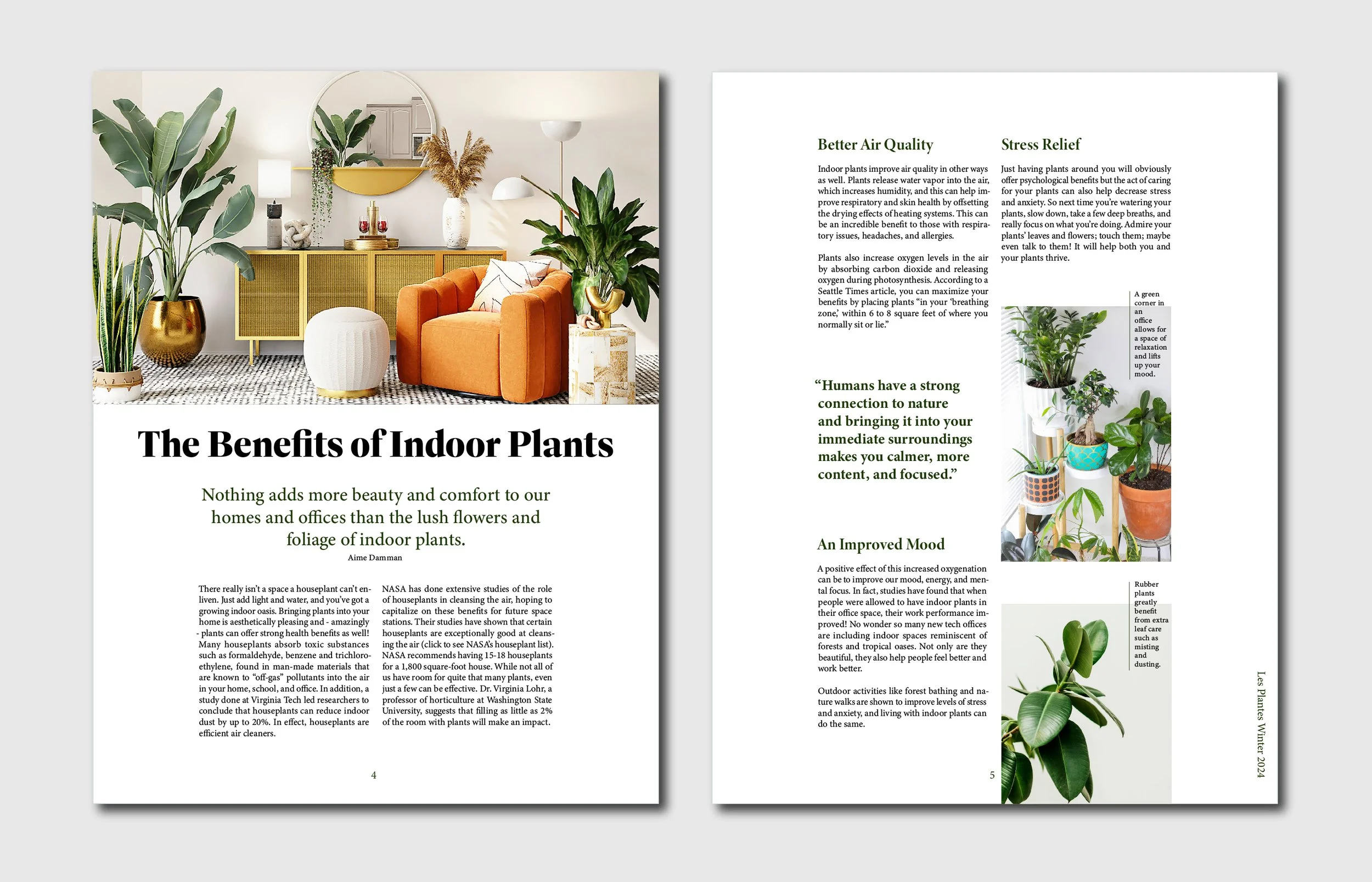 Plantes Behance-02.jpg