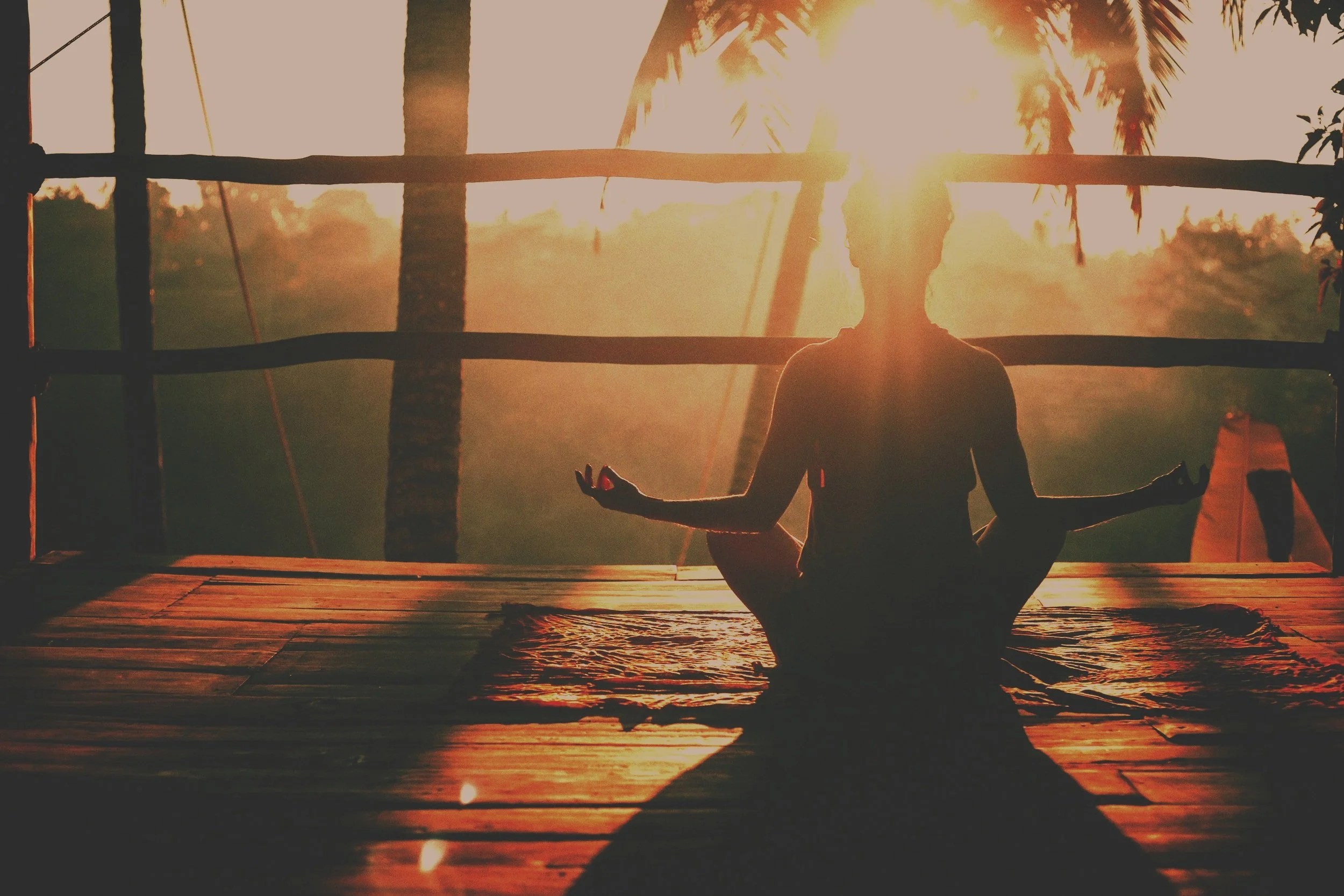 Person practicing yoga or meditation on a wooden deck at sunset, with a silhouette of trees and a bamboo fence in the background.