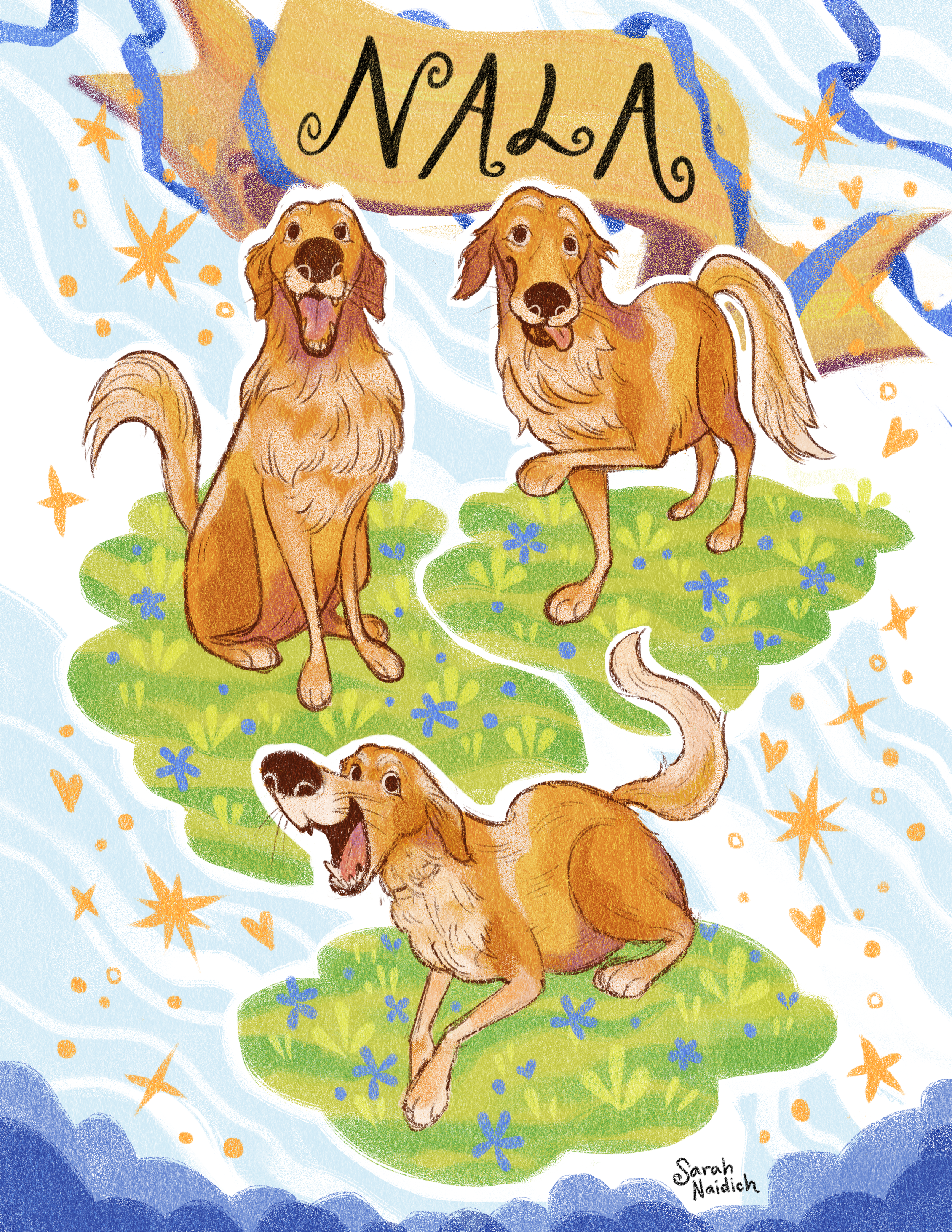 dog.png