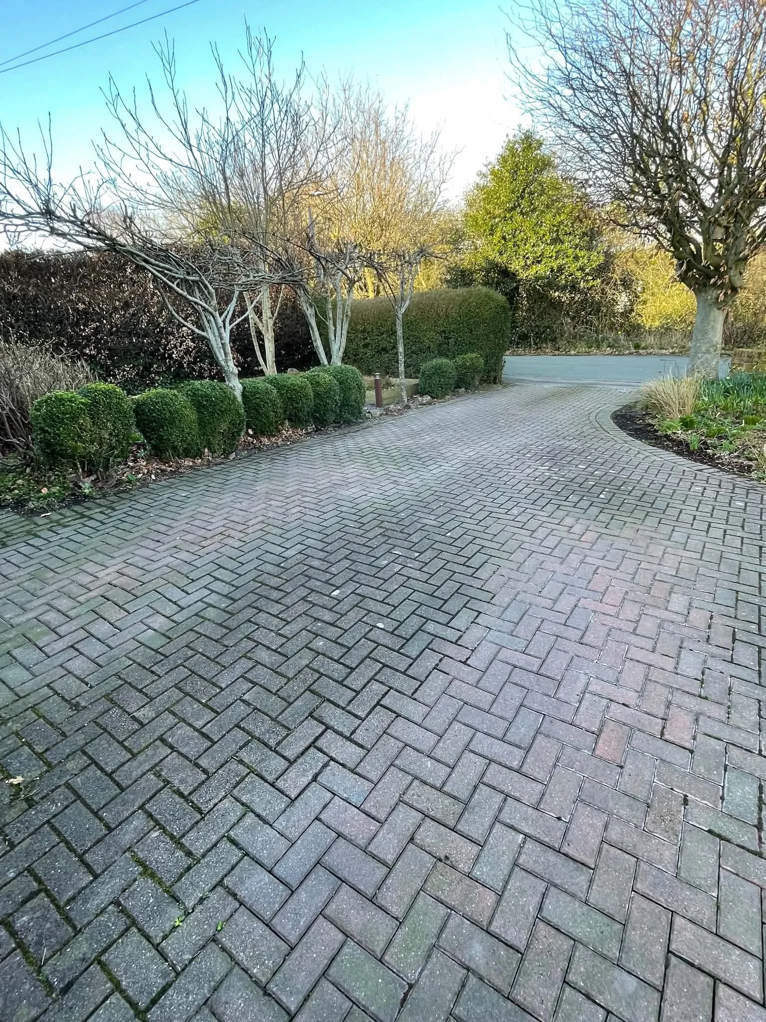 A brick-paved sidewalk curves gently through a landscaped area with neatly trimmed bushes and trees, some of which are leafless, under a clear blue sky.