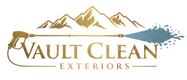 Graphic logo with the text 'MULTICLEAN' and an abstract mountain and cloud design in the background.