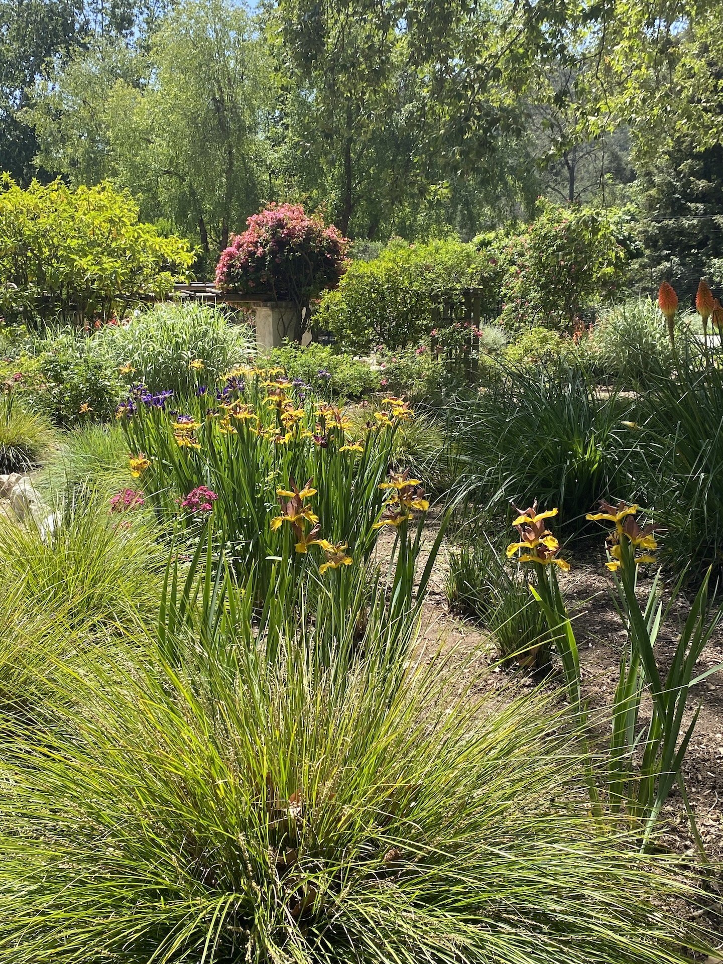 69eafb0ab8f71a303635c0ce_IMG_9897.jpeg
