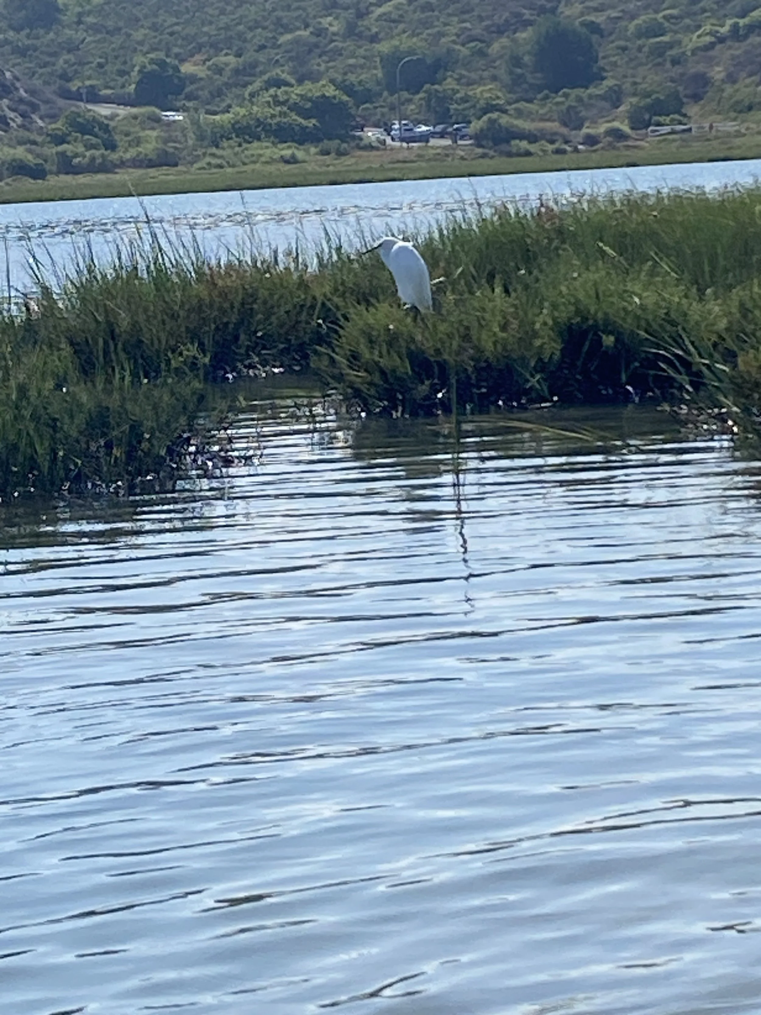 IMG_0629.jpeg